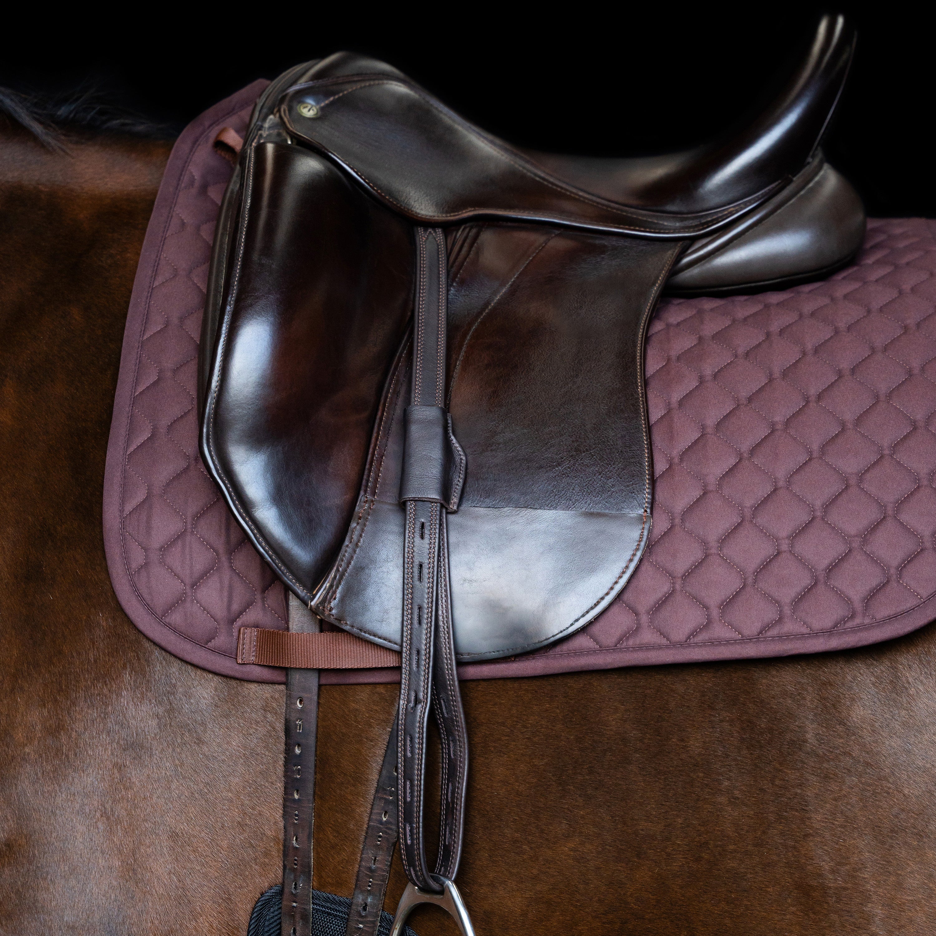 Stirrup leathers IRH Monoleaf