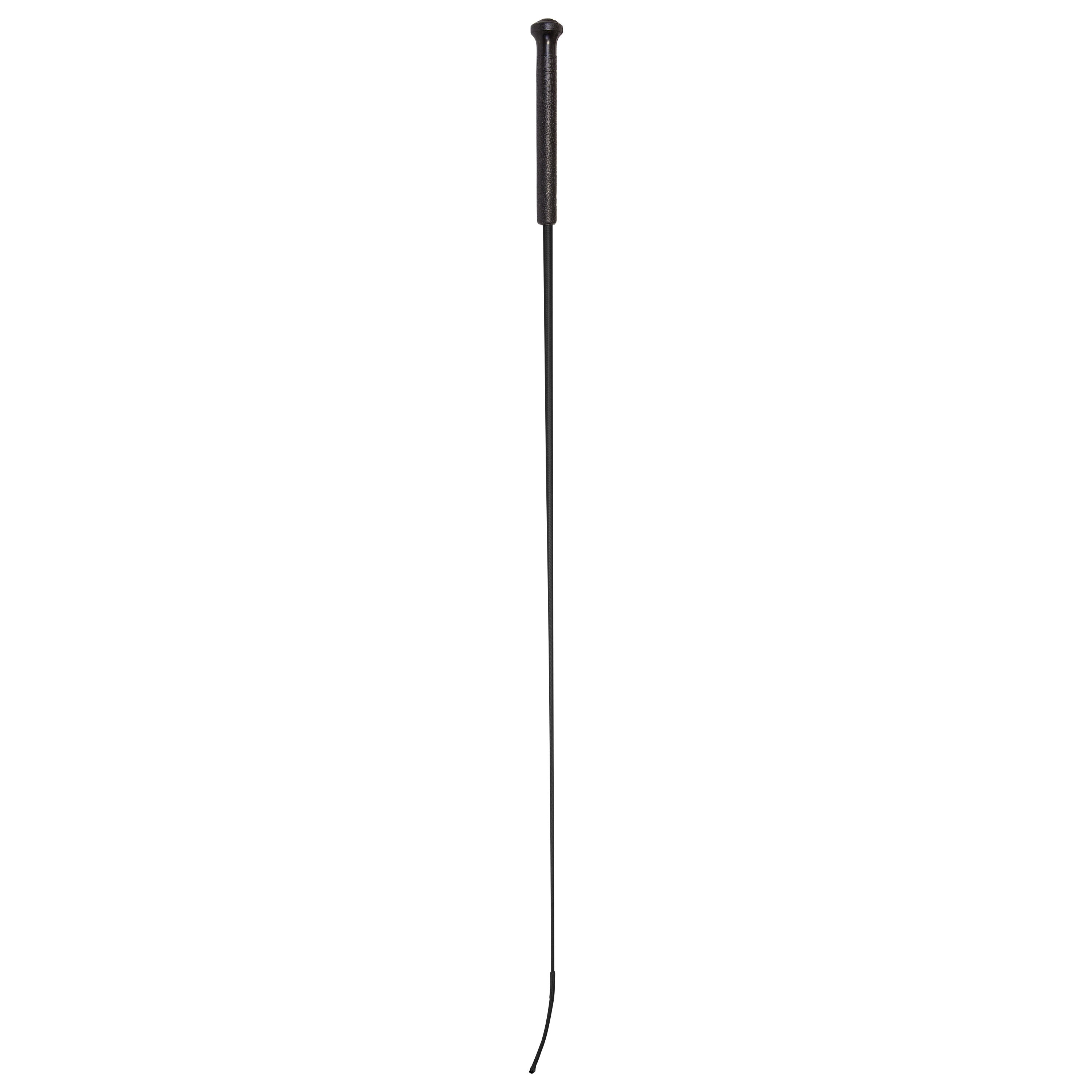 Riding whip IRHEconomic