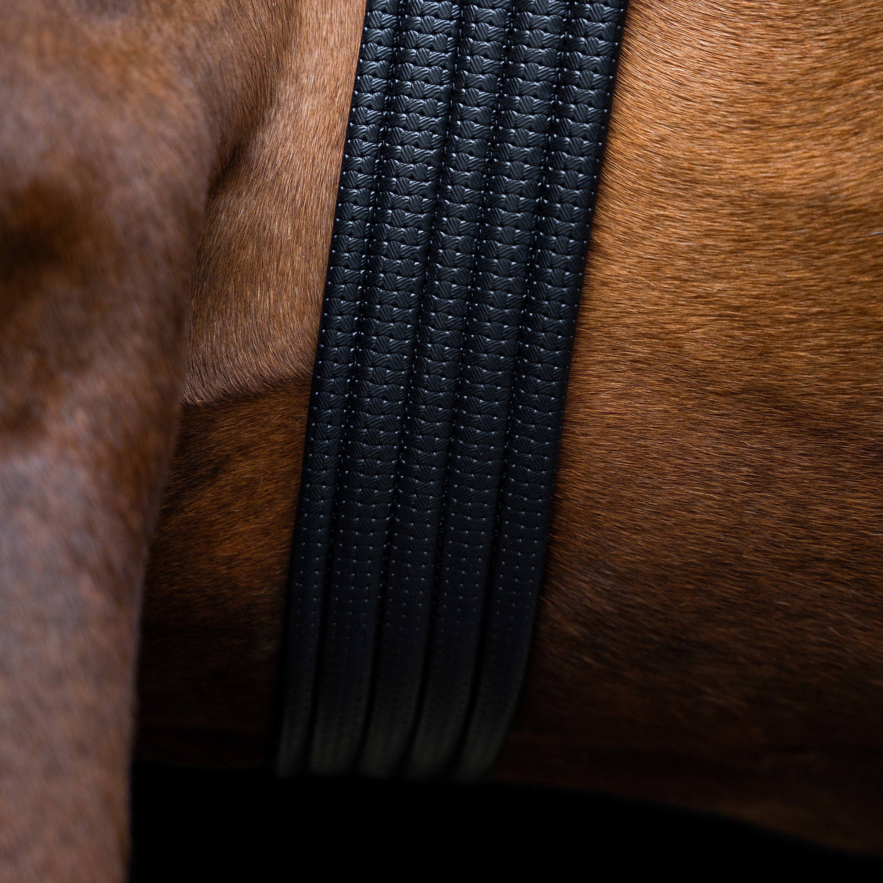 Jumping girth IRHBasic