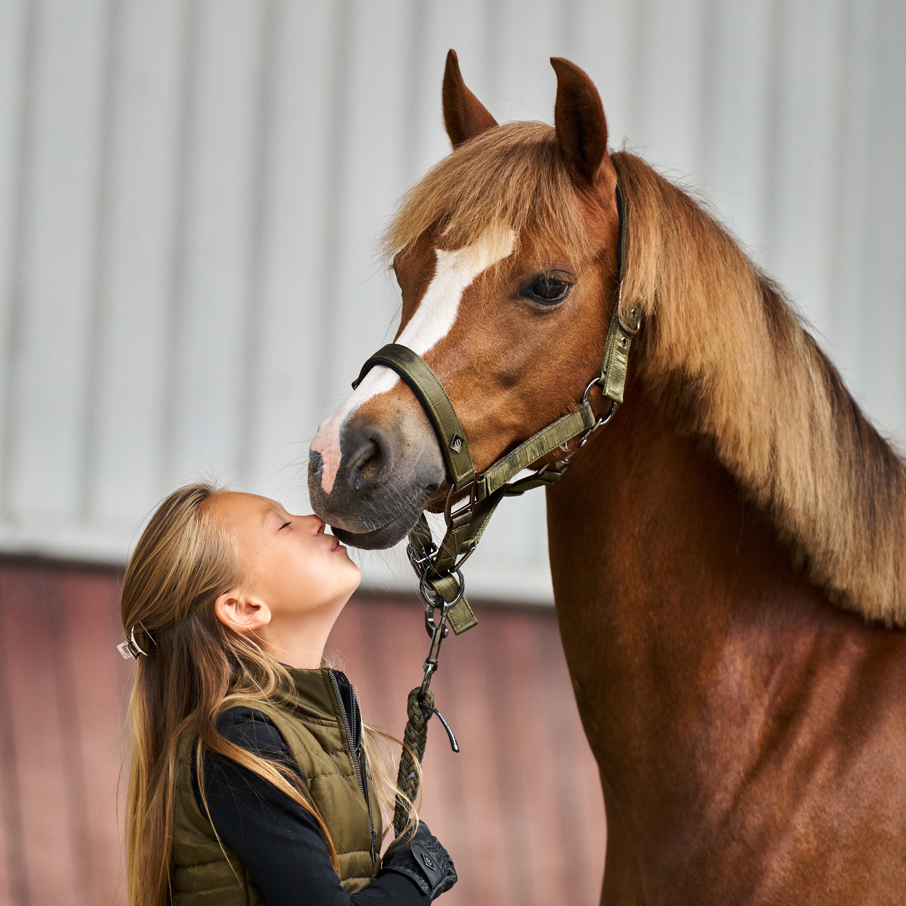 Headcollar IRHRebel