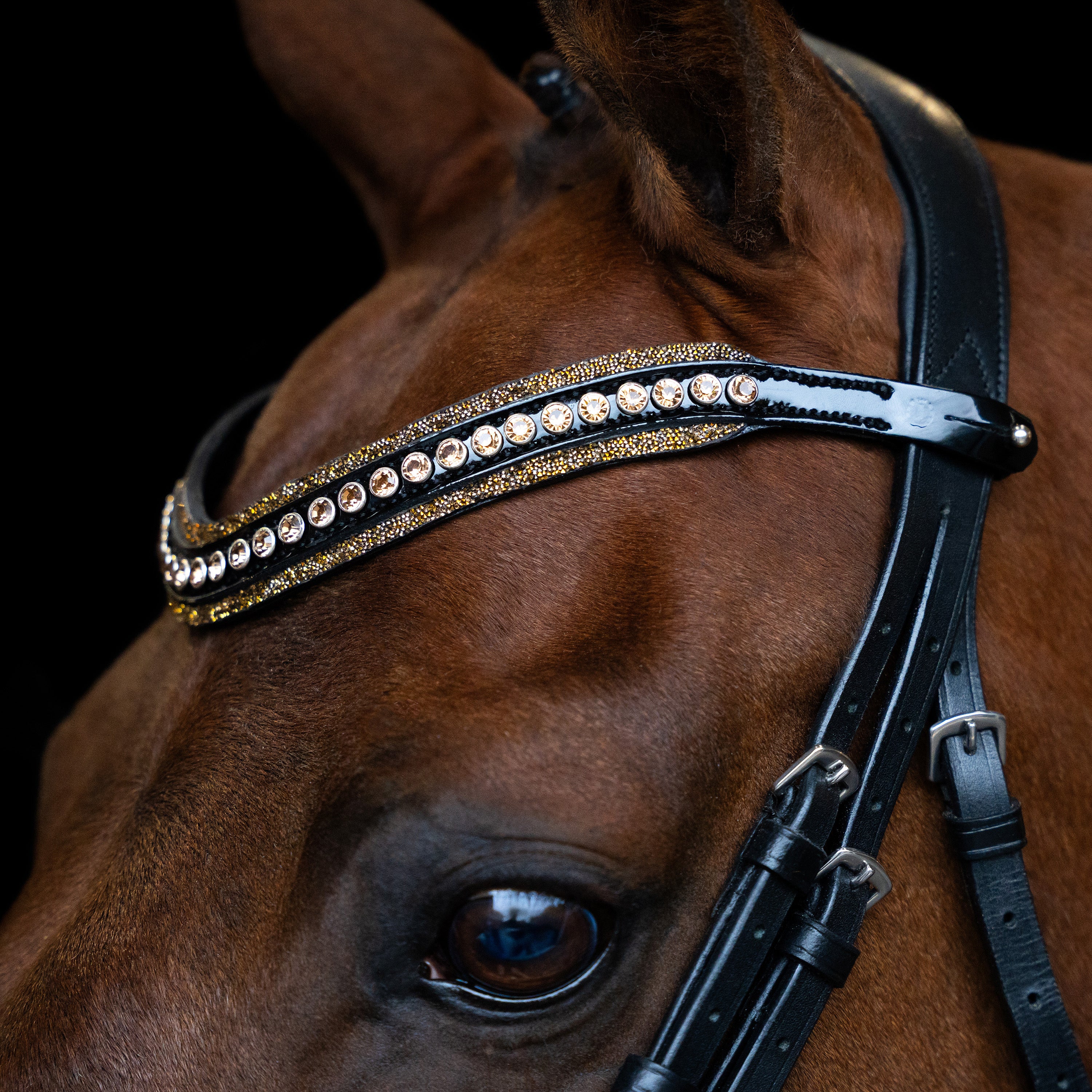 Browband IRHMaxima