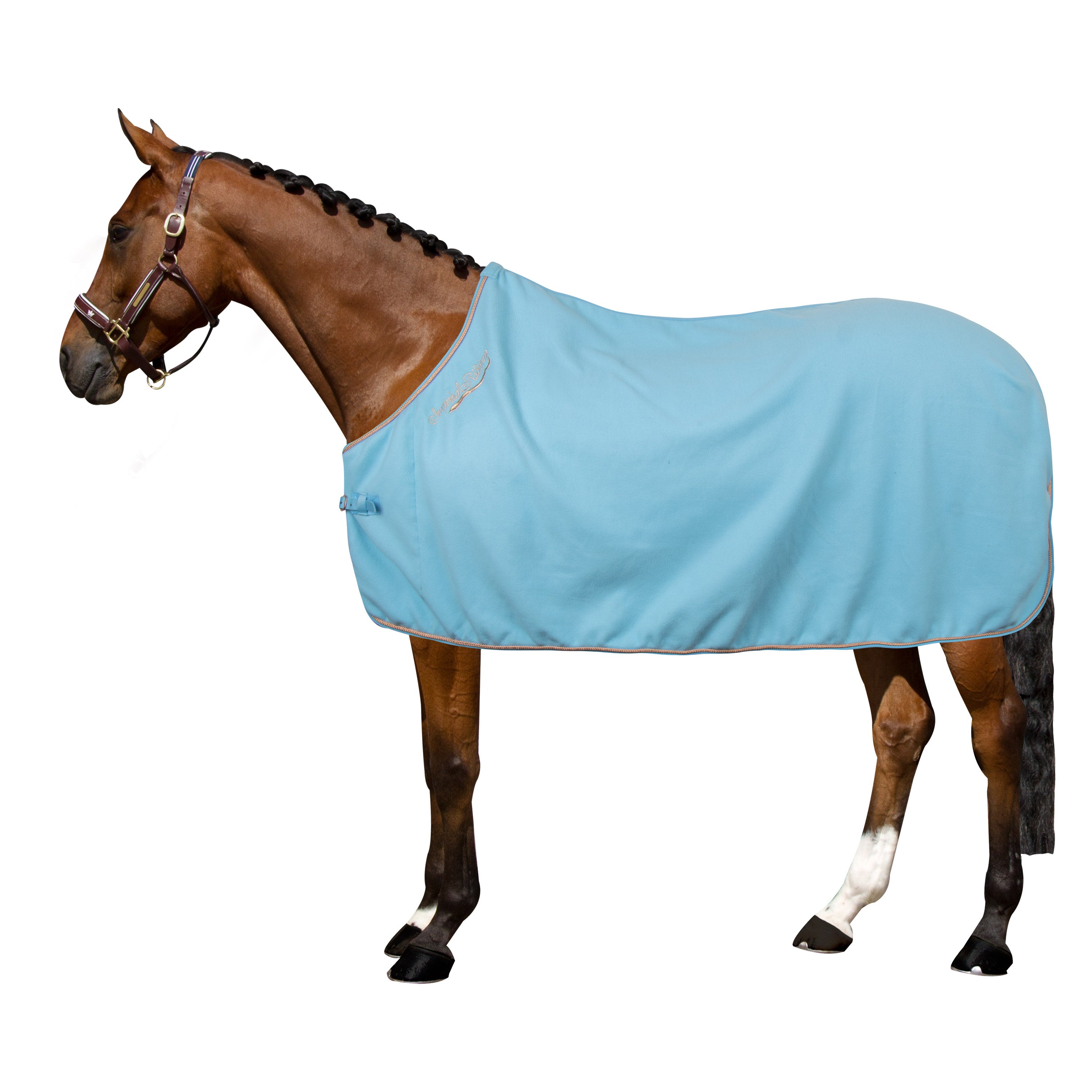 Fleece blanket IRHClassic