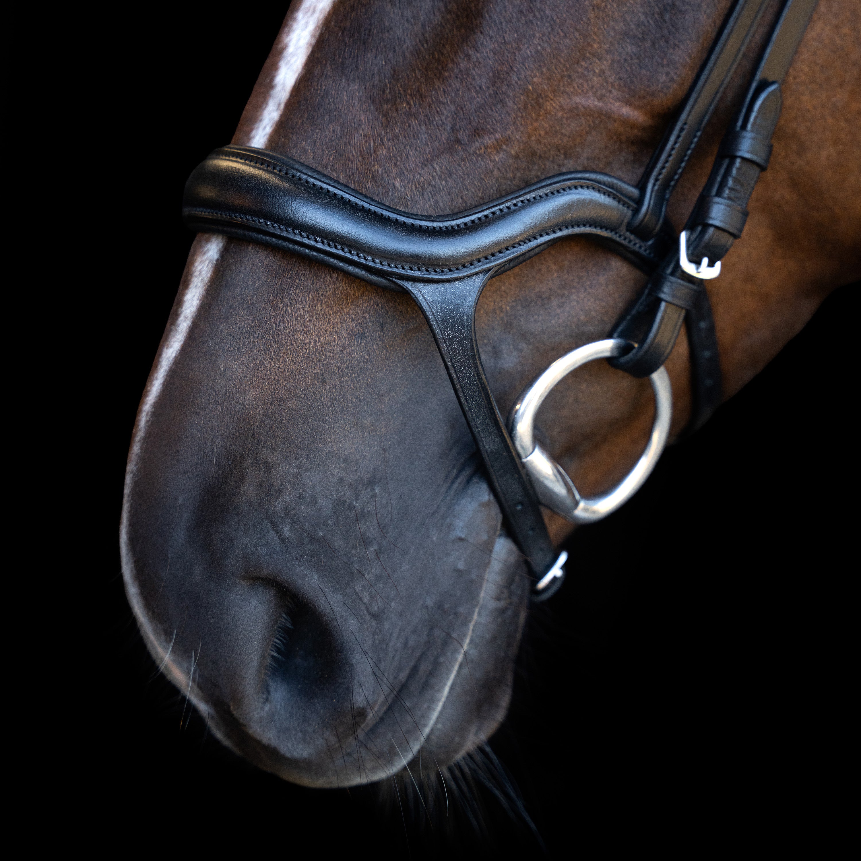 Bridle IRH with ergonomic drop noseband/flash