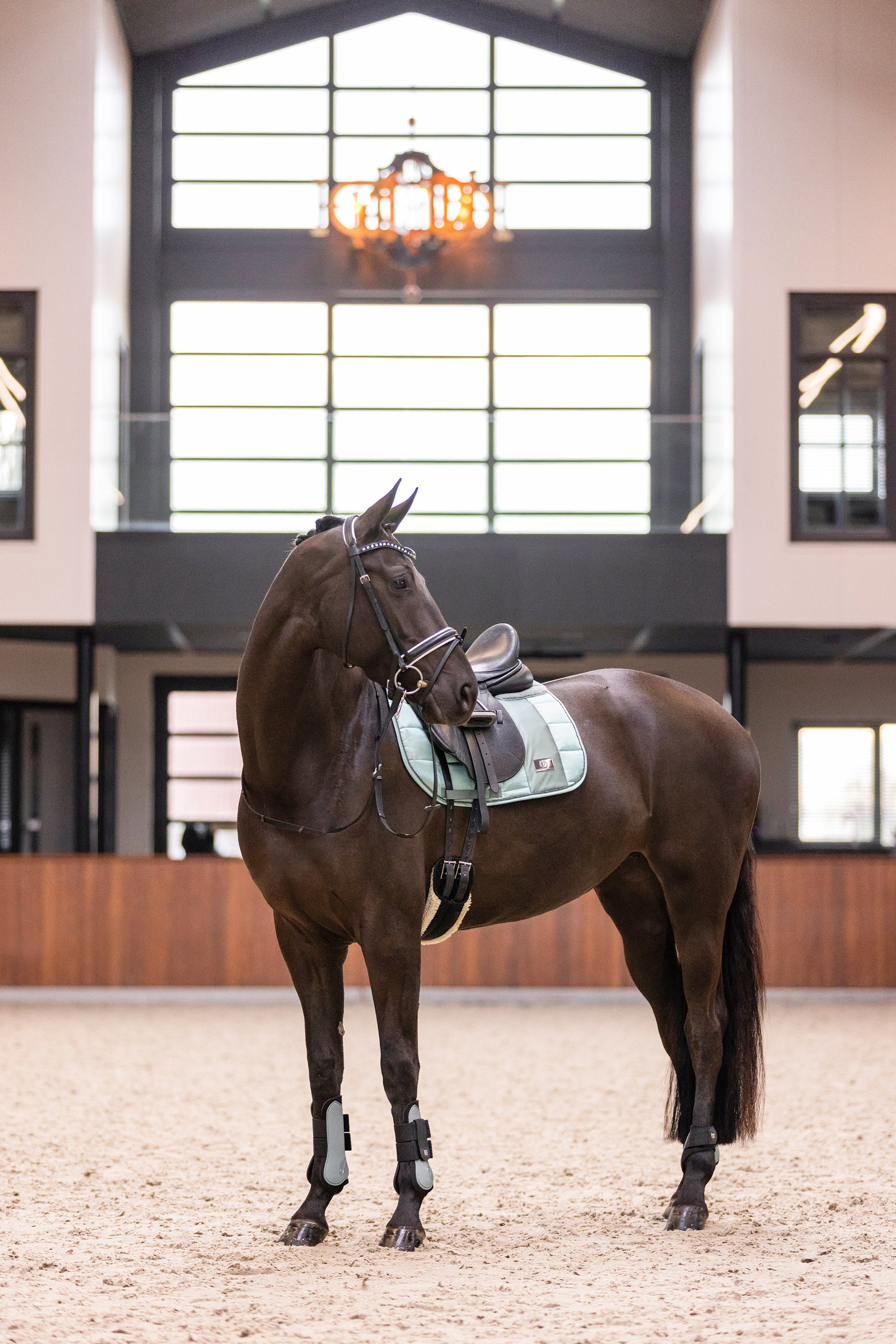 Tendon boots IRHLovely
