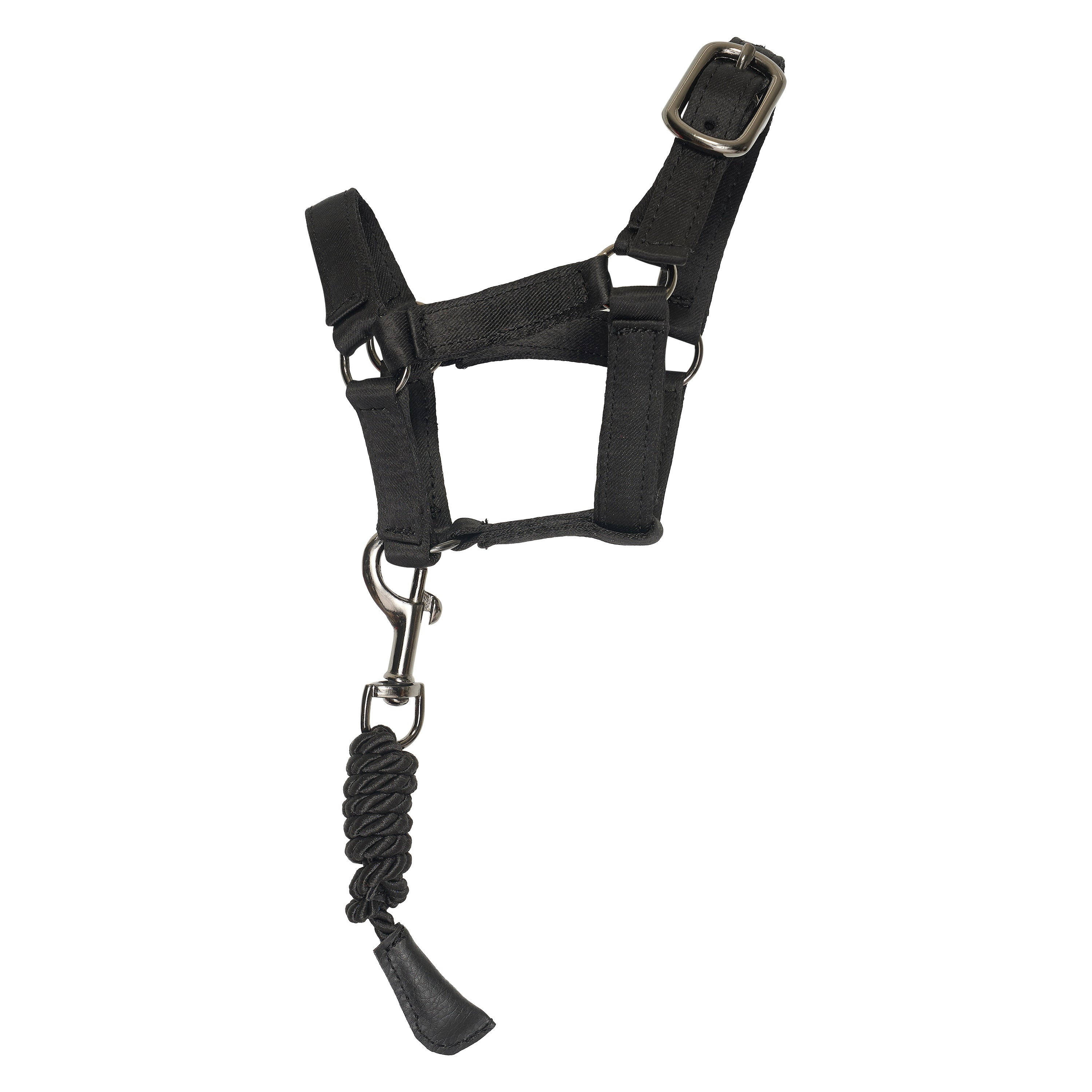 Toy set stable IRHPetit