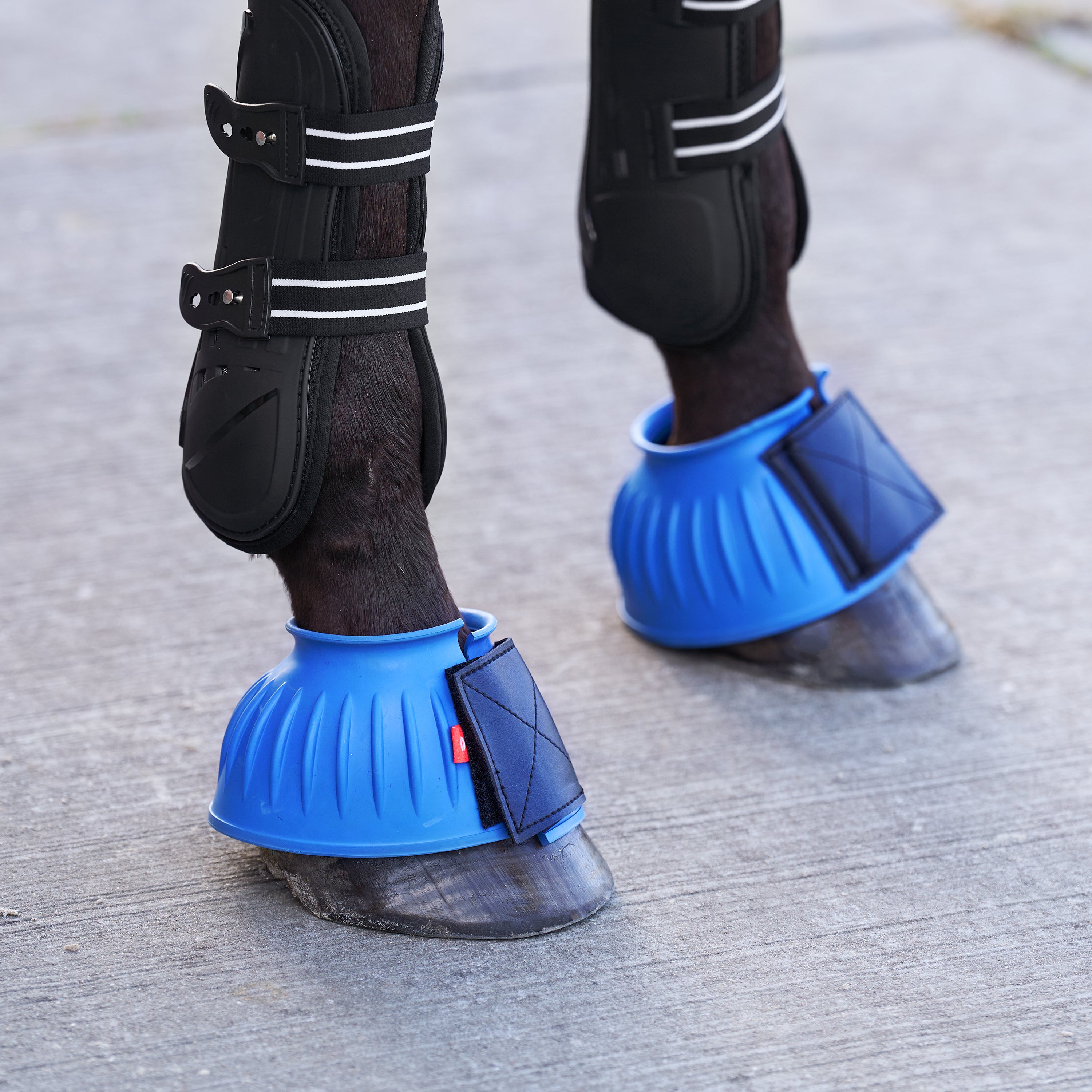Bellboots IRHBells