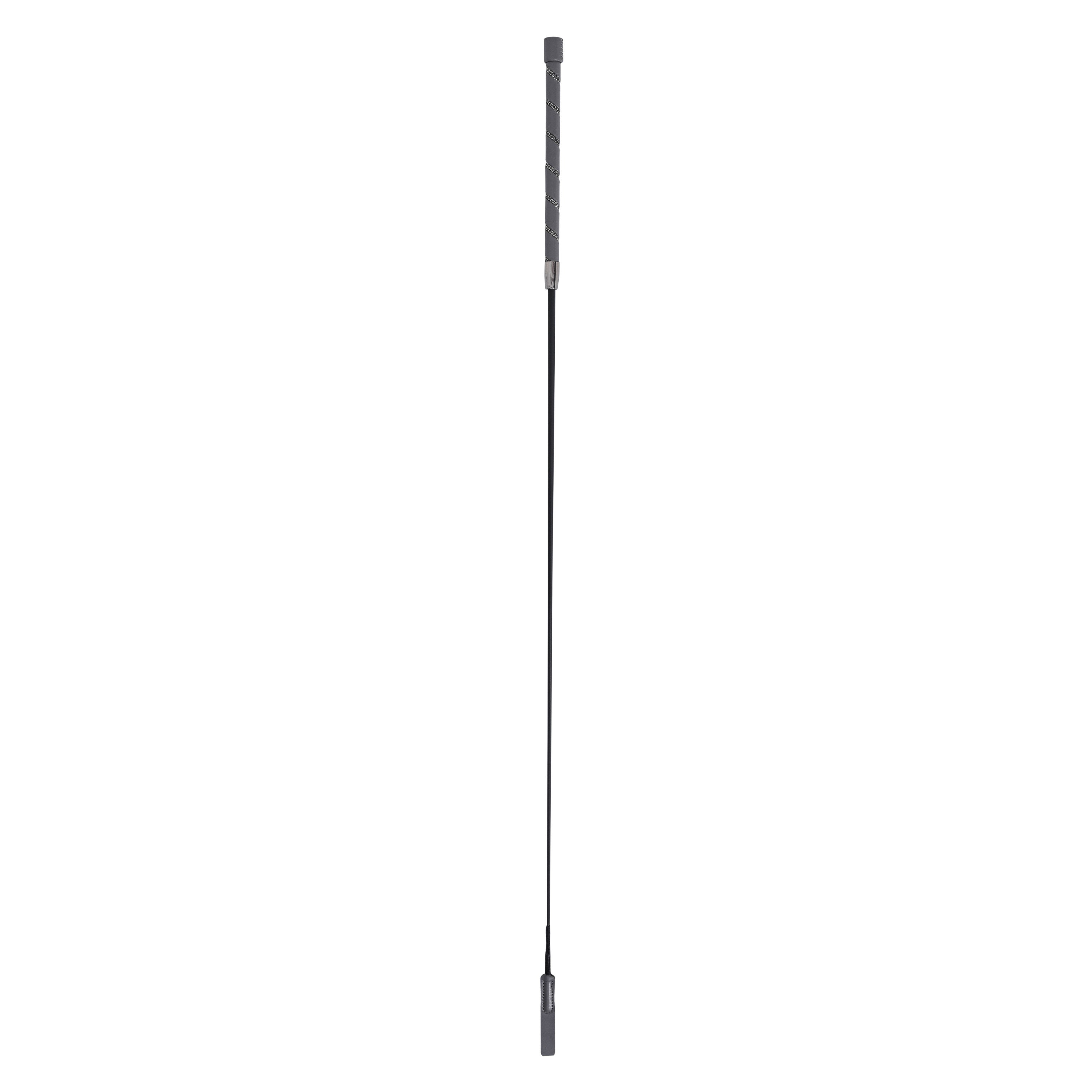 Dressage whip IRHRegal Shine