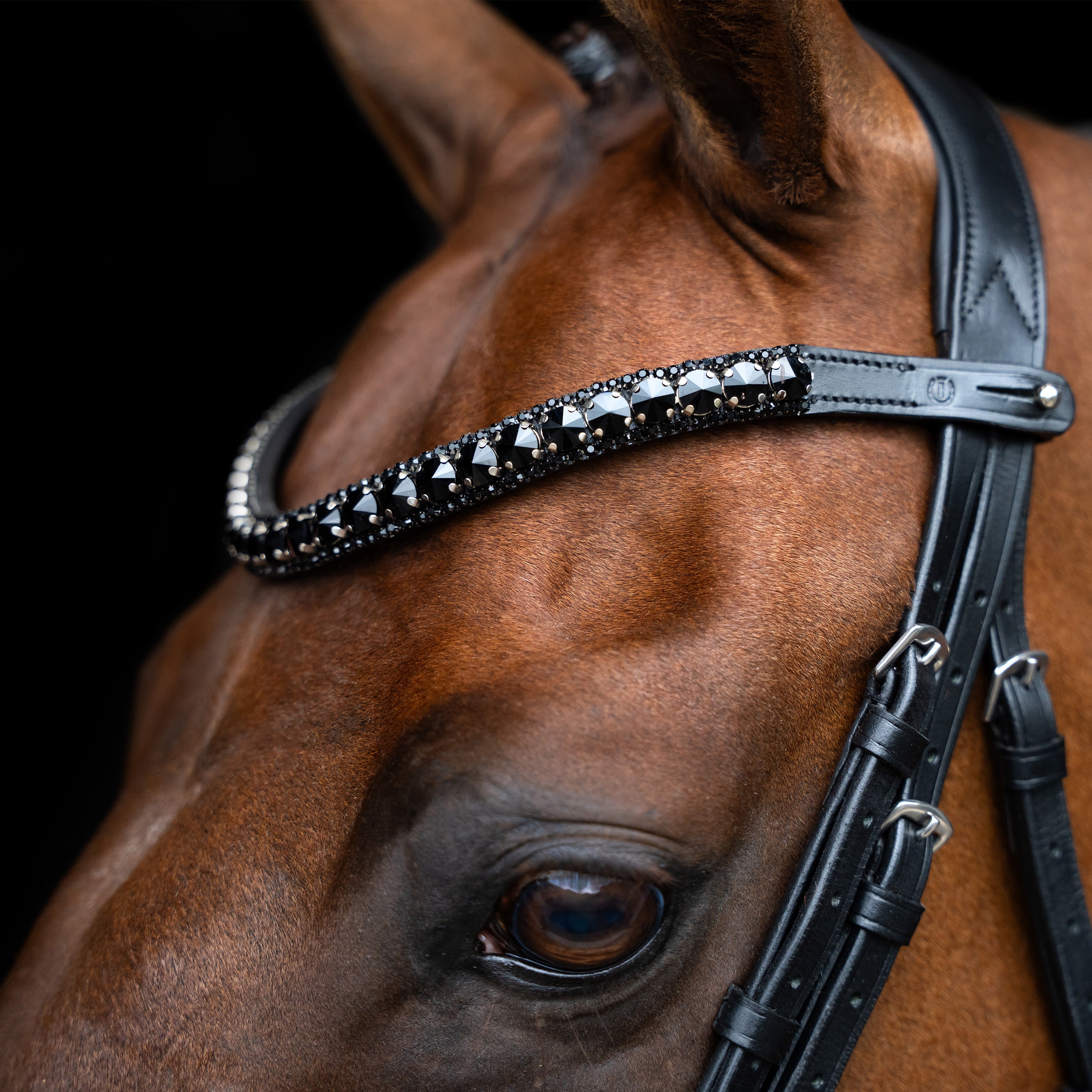 Browband IRHMaxima