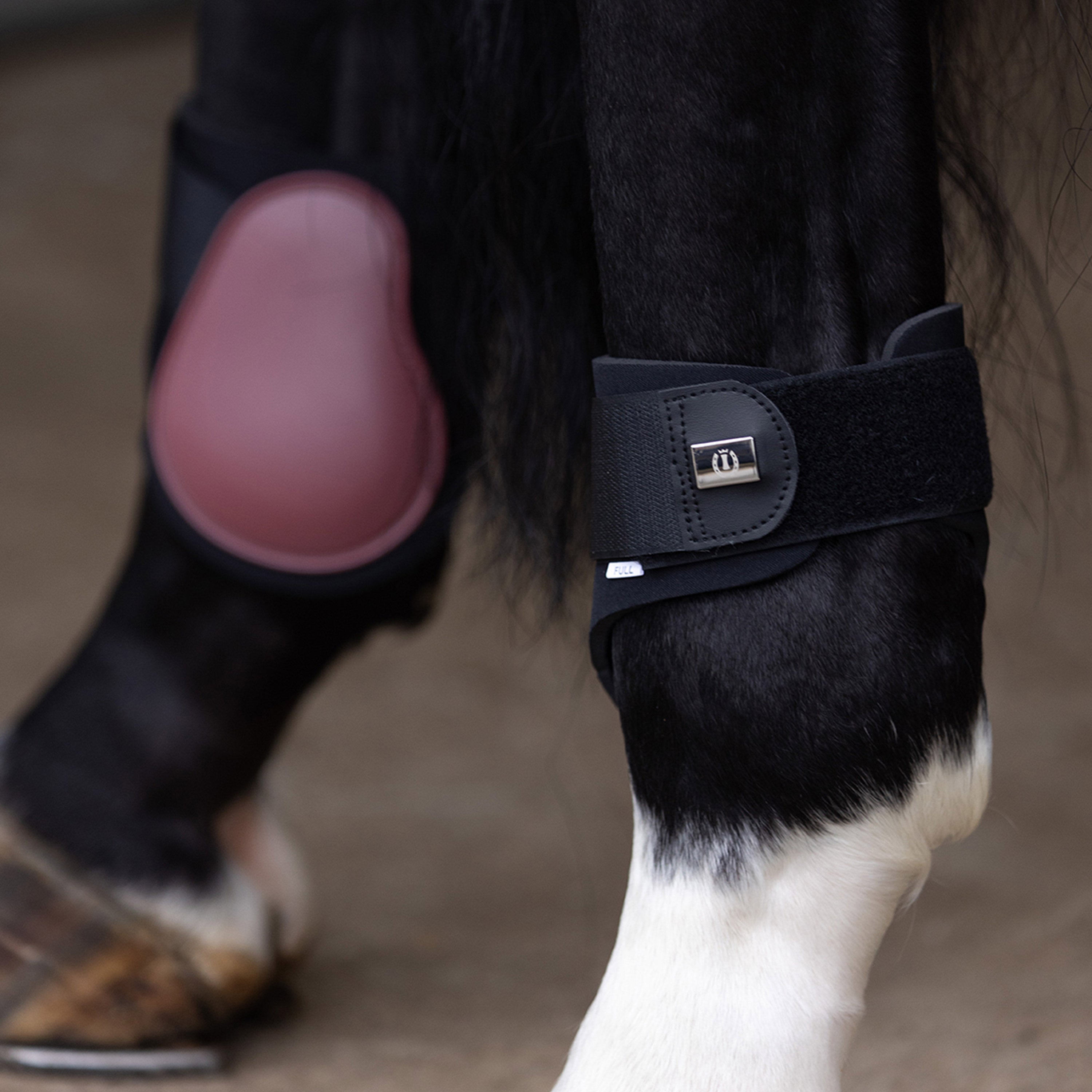 Fetlock boots IRHLovely