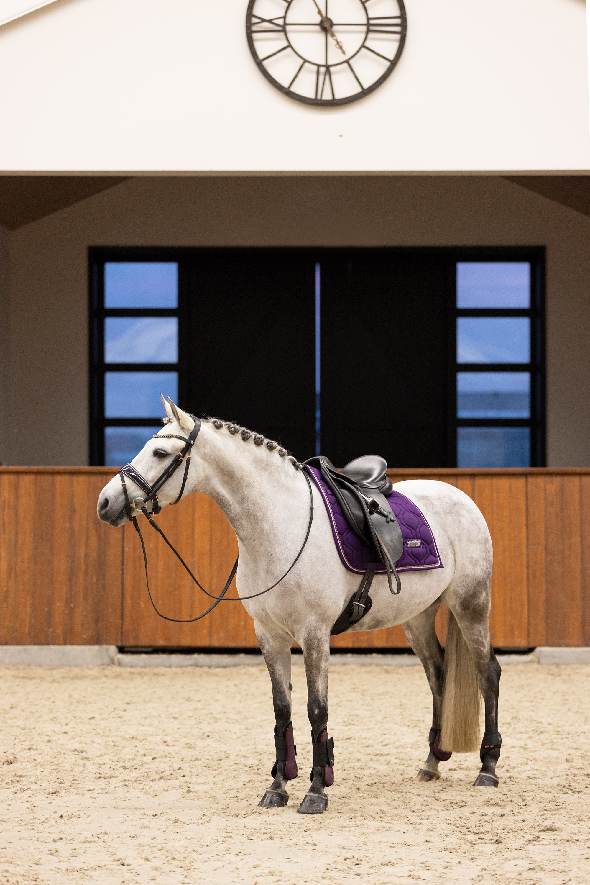 Fetlock boots IRHLovely