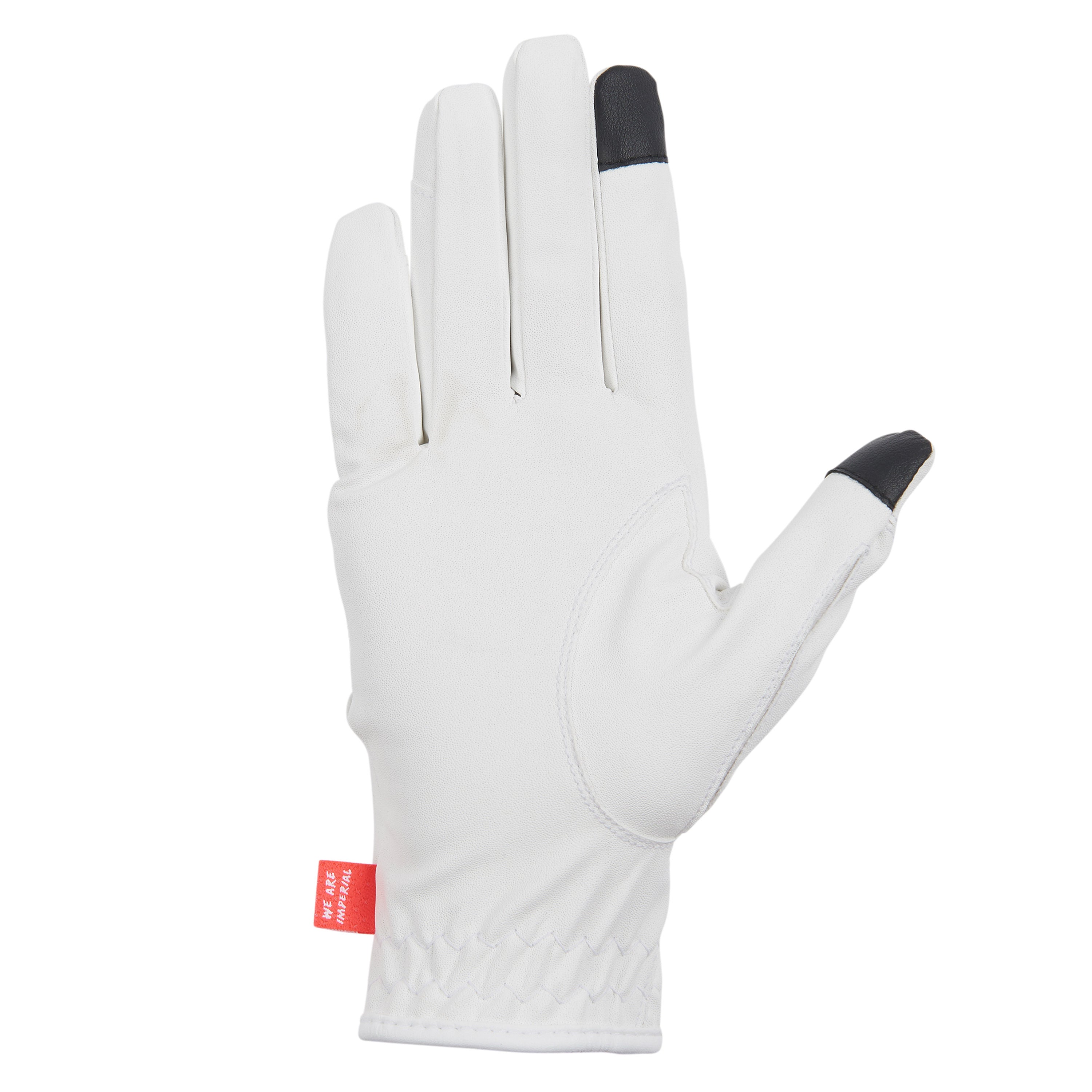 Gloves IRHThe Basics