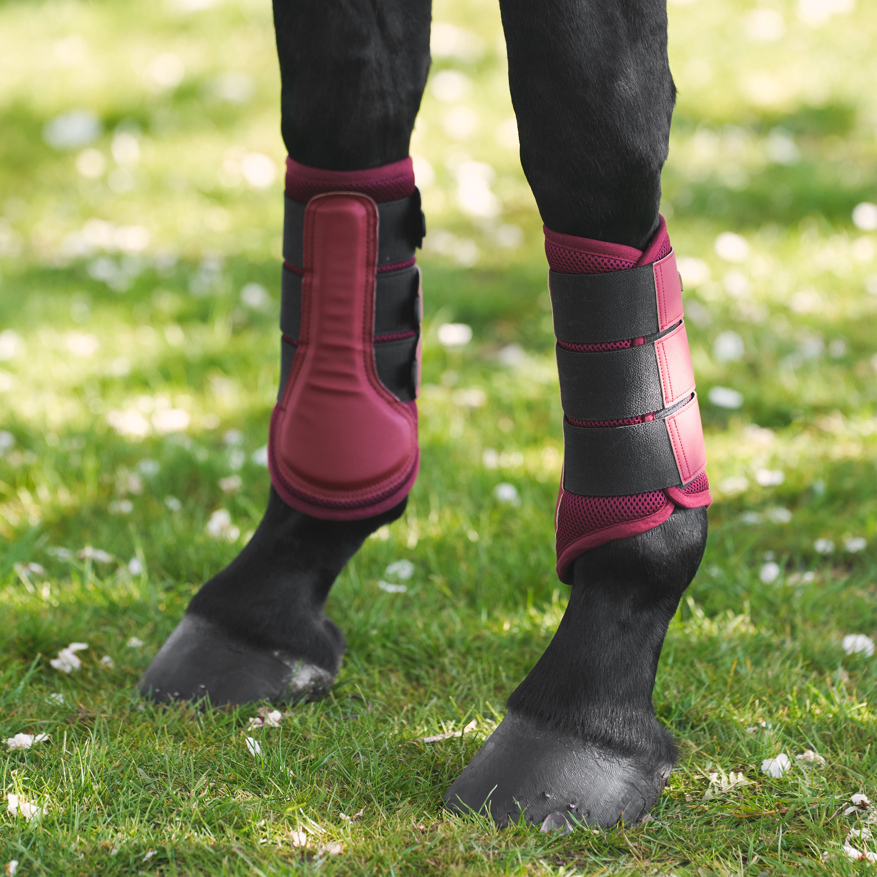 Brushing boots IRHCloud Dancer