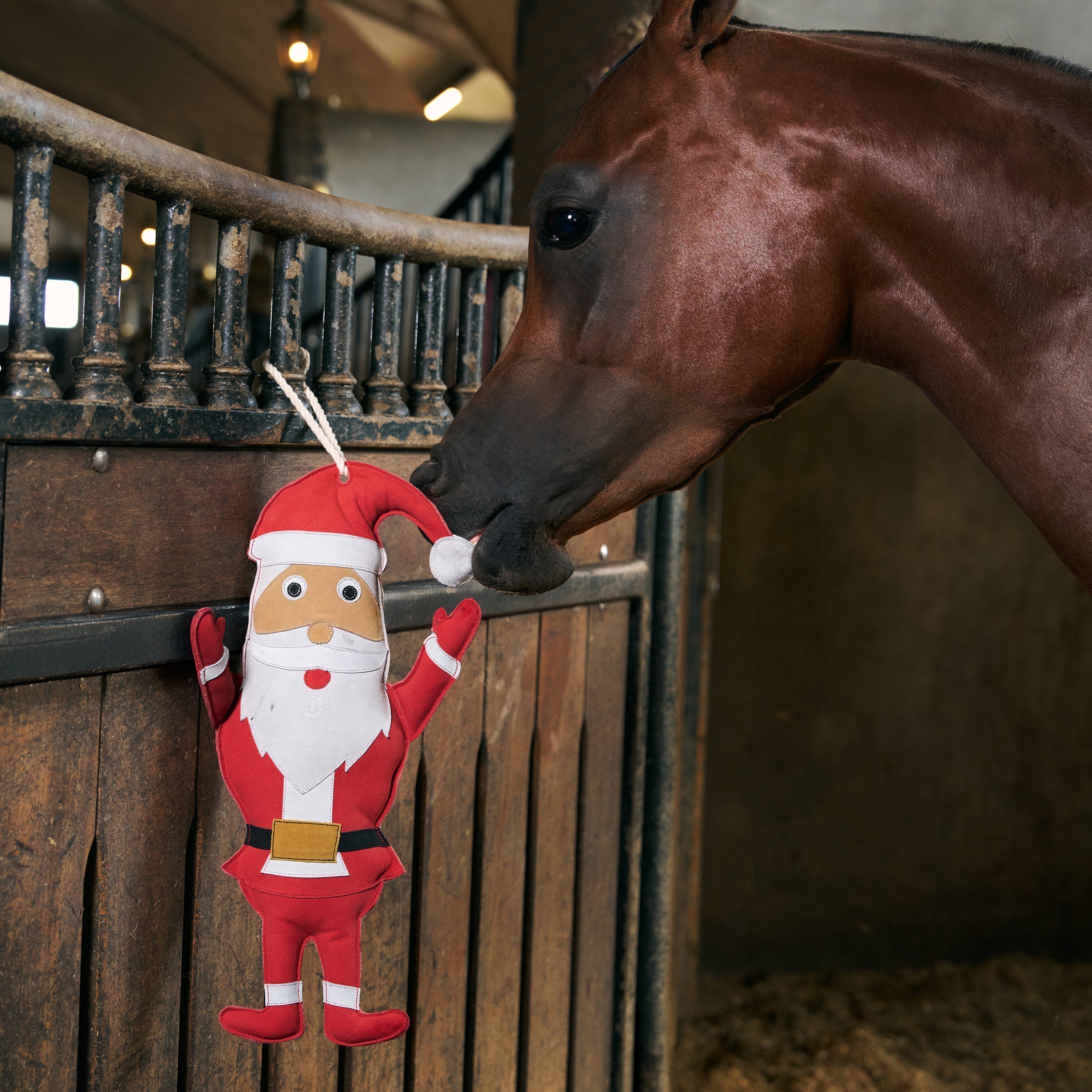 Stable buddy IRHSanta