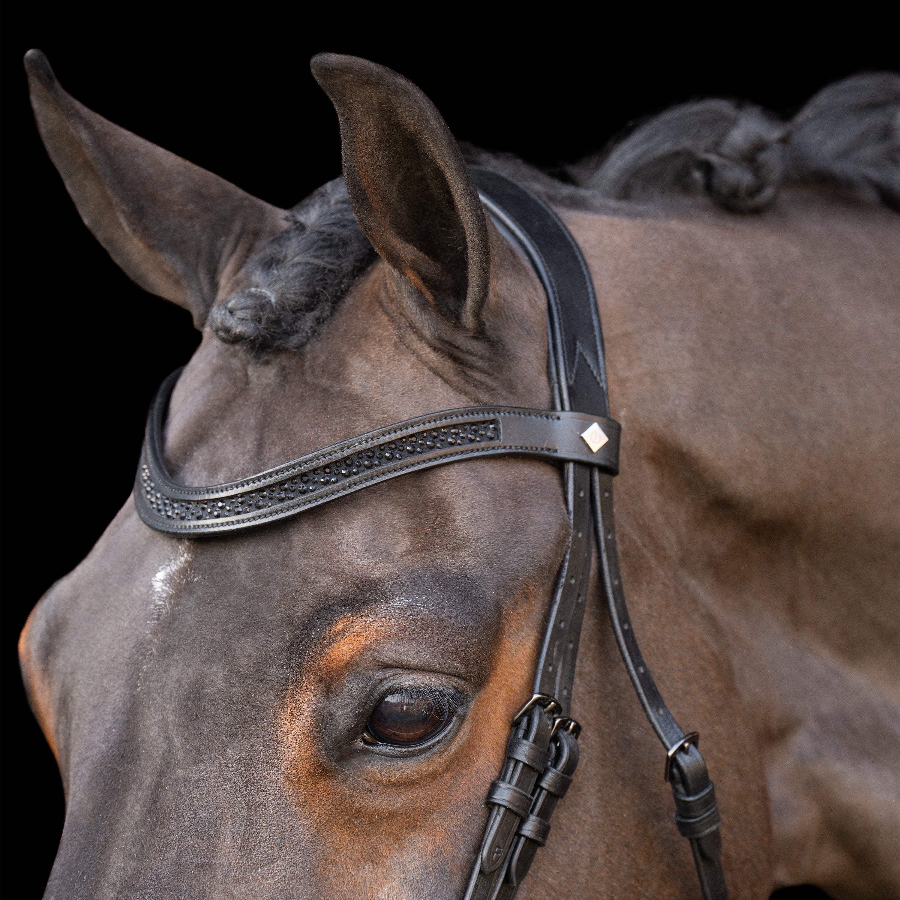 Snaffle bridle with English noseband IRH