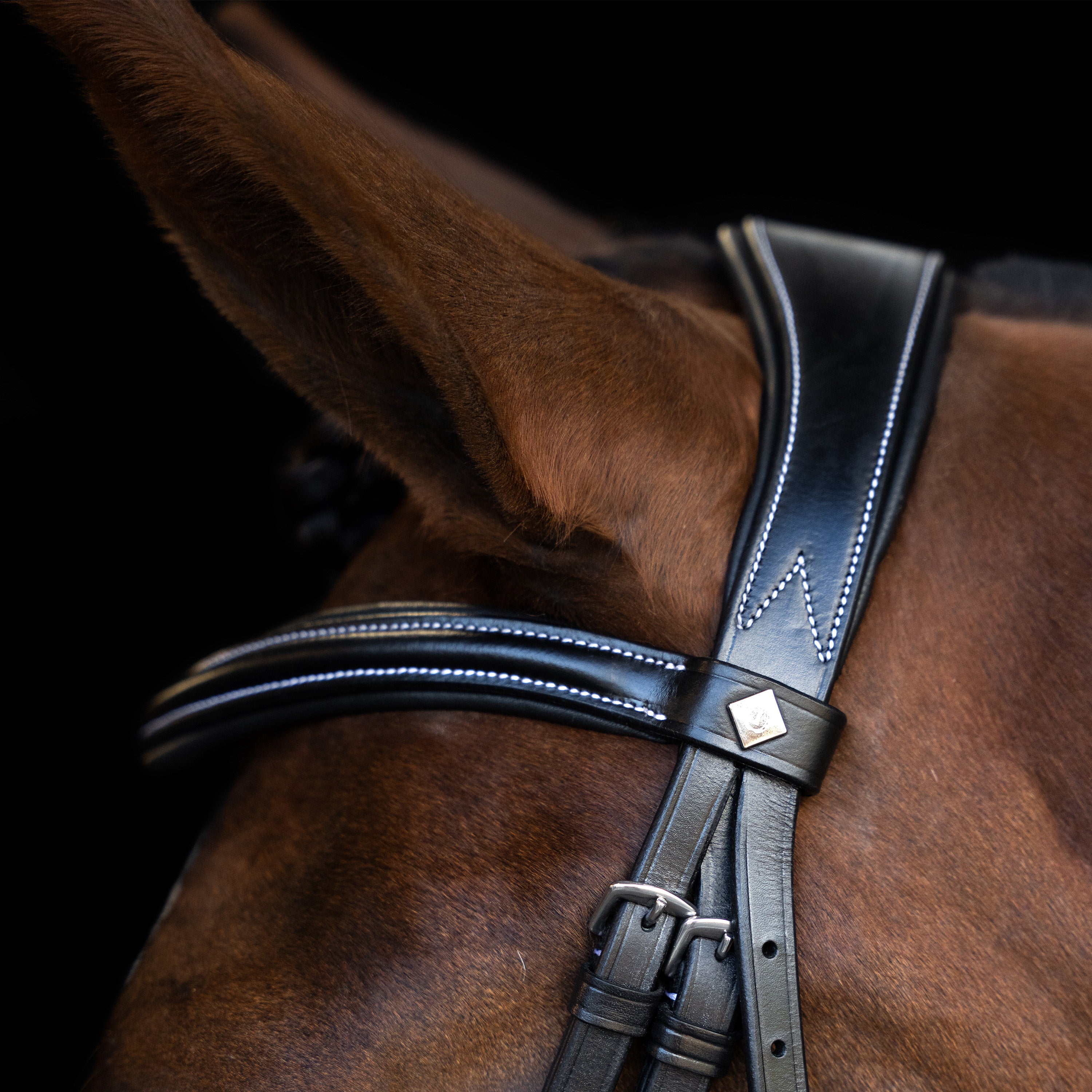 Bridle IRH with curved cut English noseband