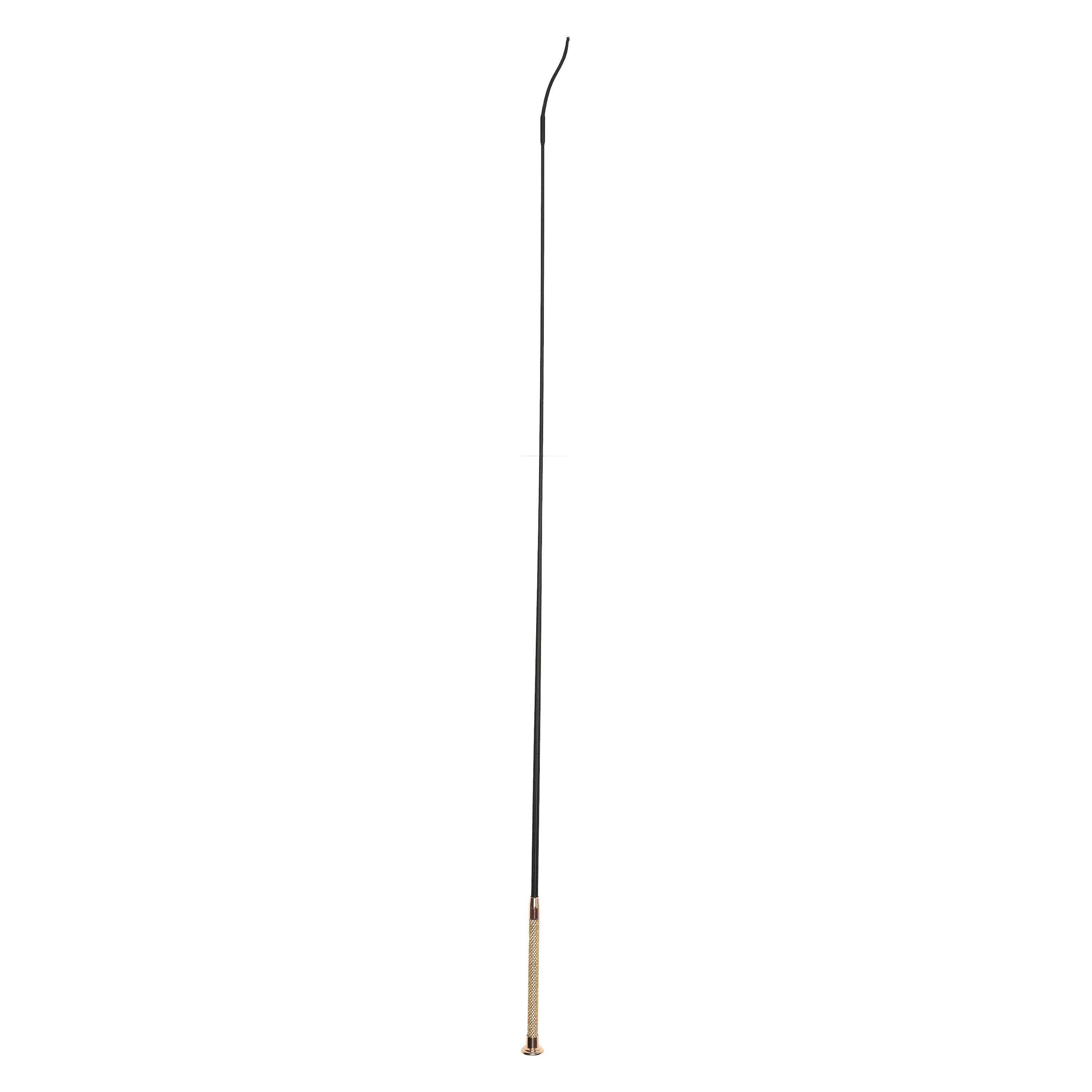 Dressage whip IRHStones