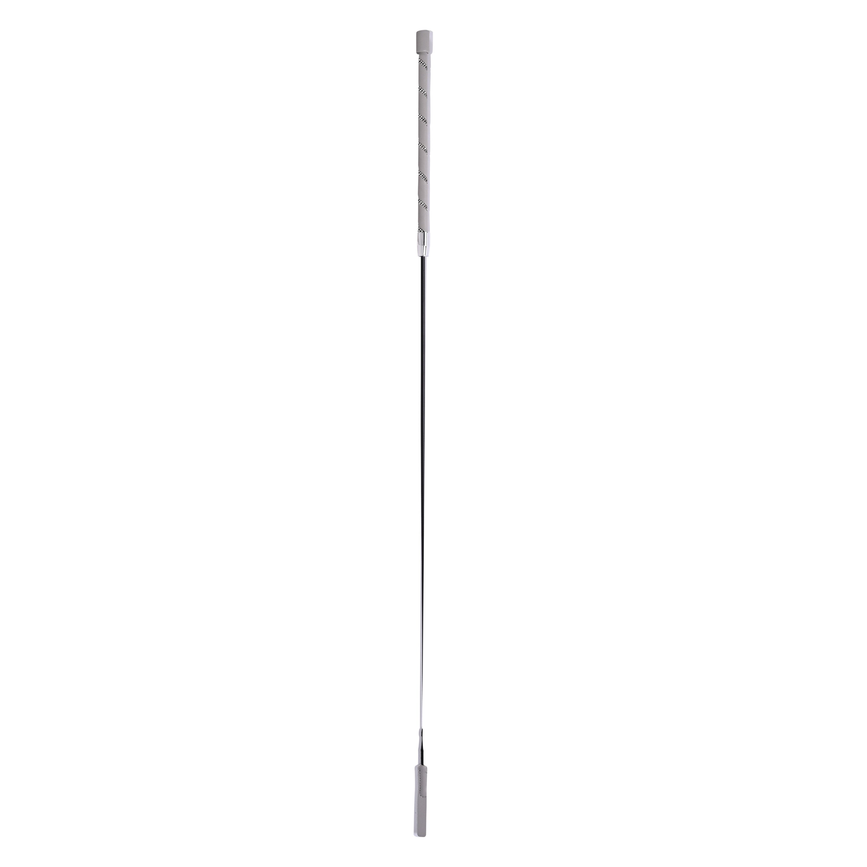 Dressage whip IRHRegal Shine