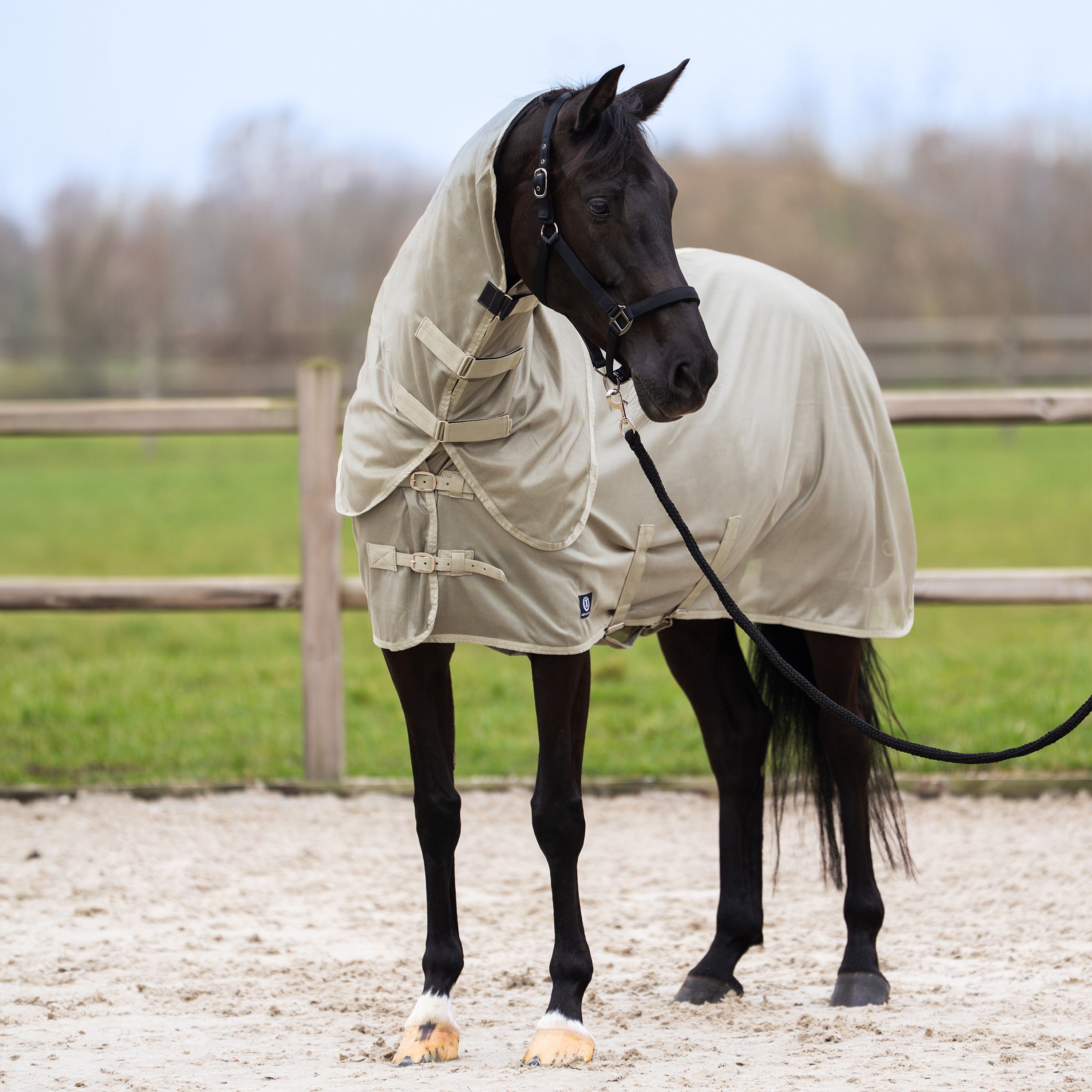 Fly blanket IRHReese
