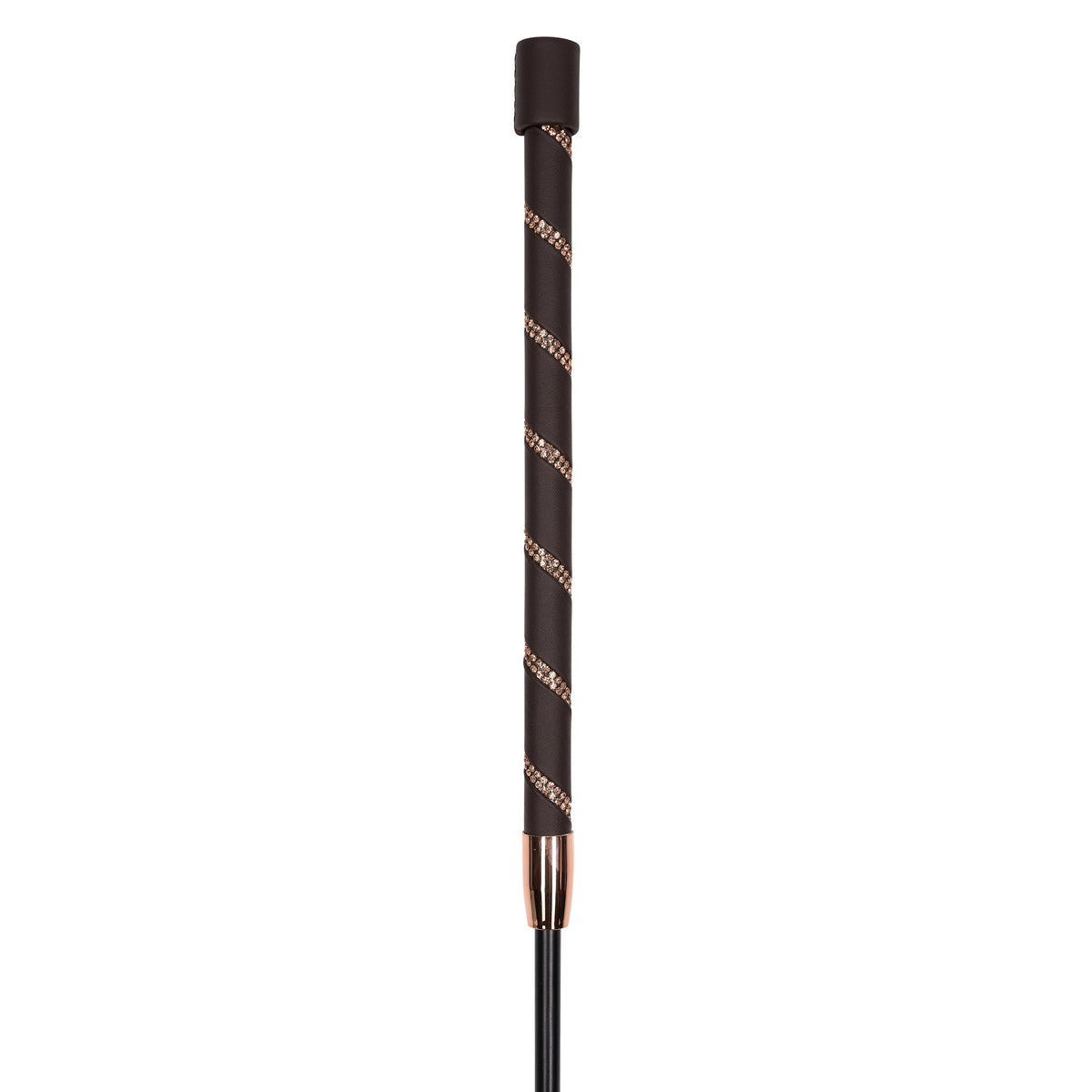 Dressage whip IRHRegal Shine