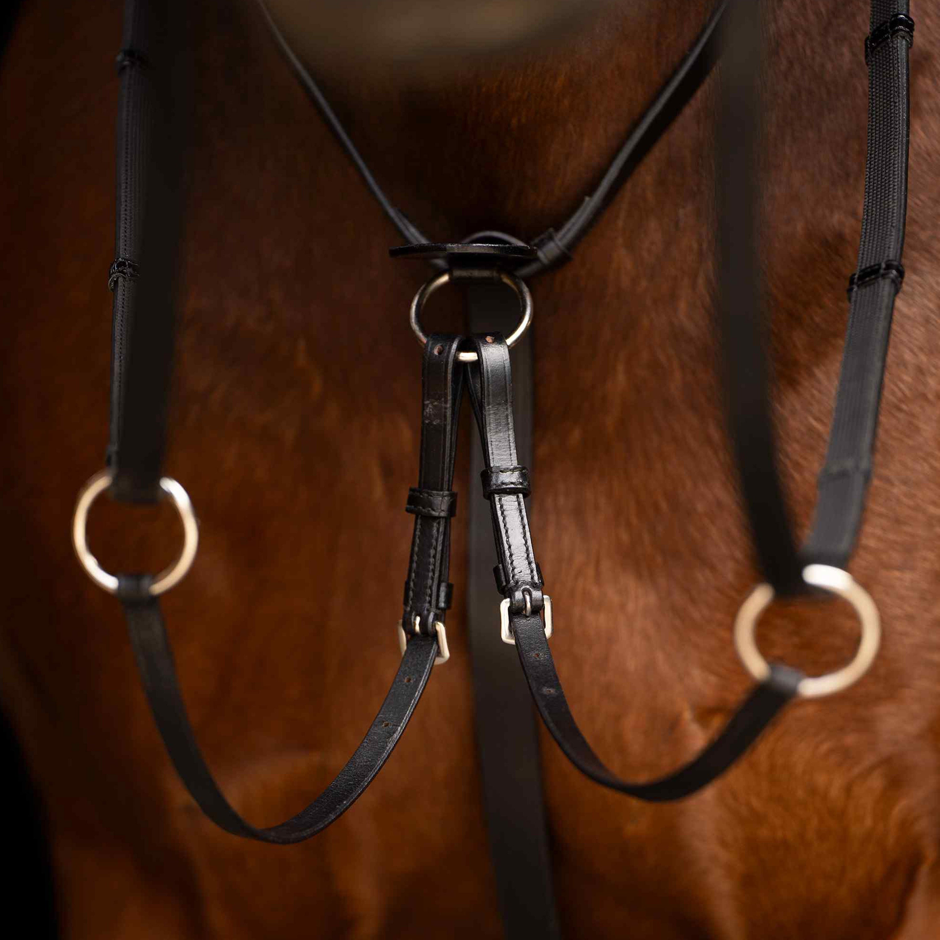 Martingale IRHCore