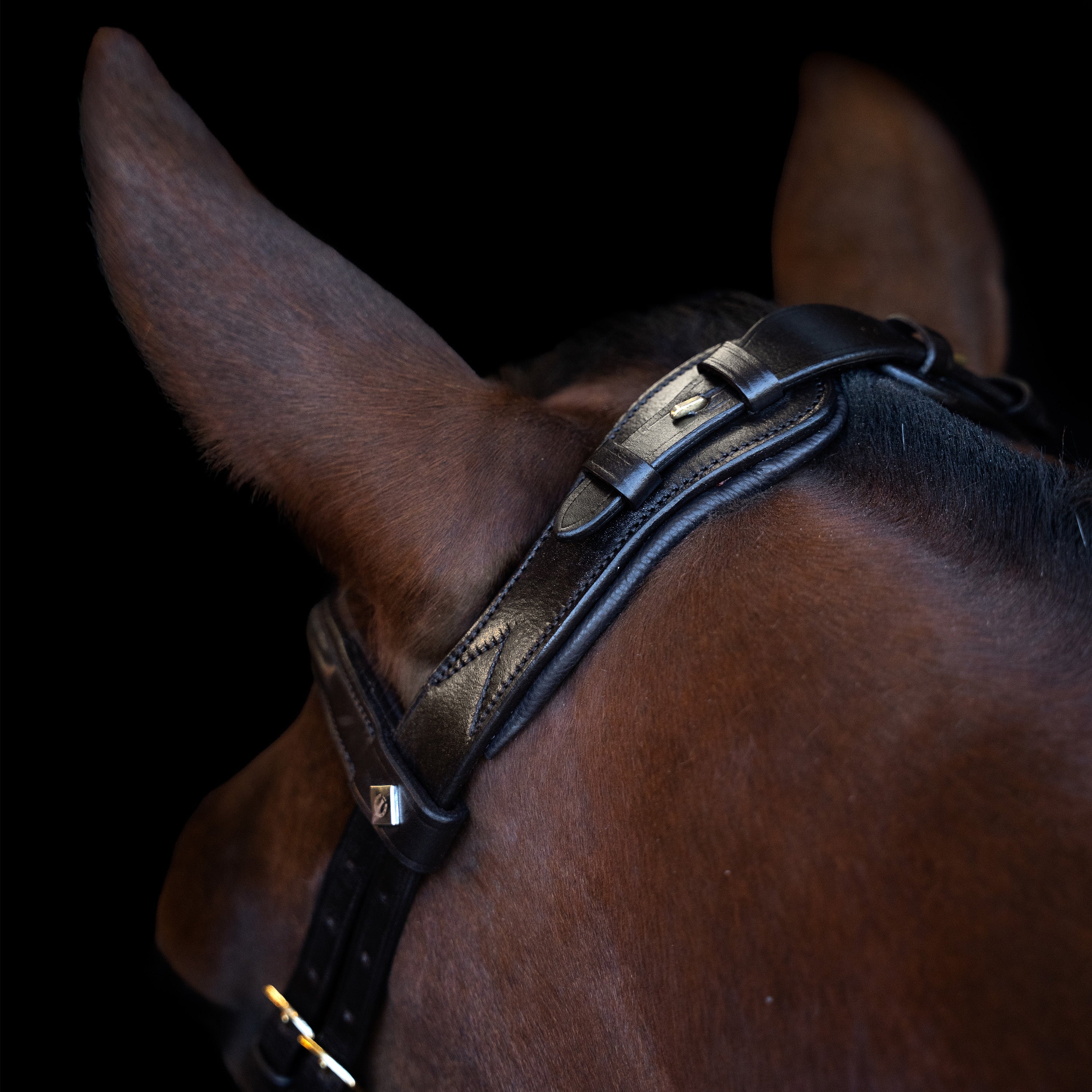 Bridle IRH with ergonomic drop noseband/flash