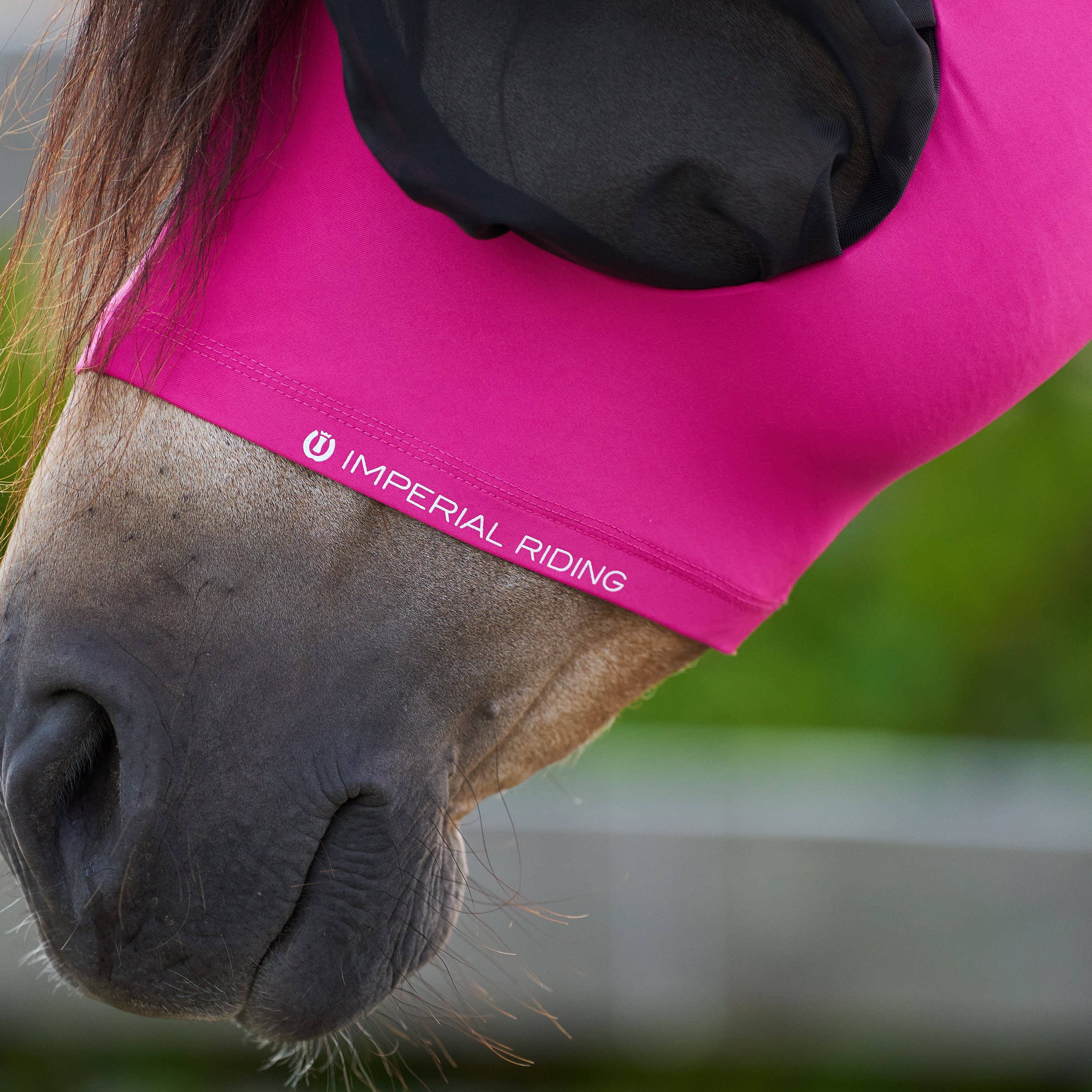Flymask IRHTrail ride