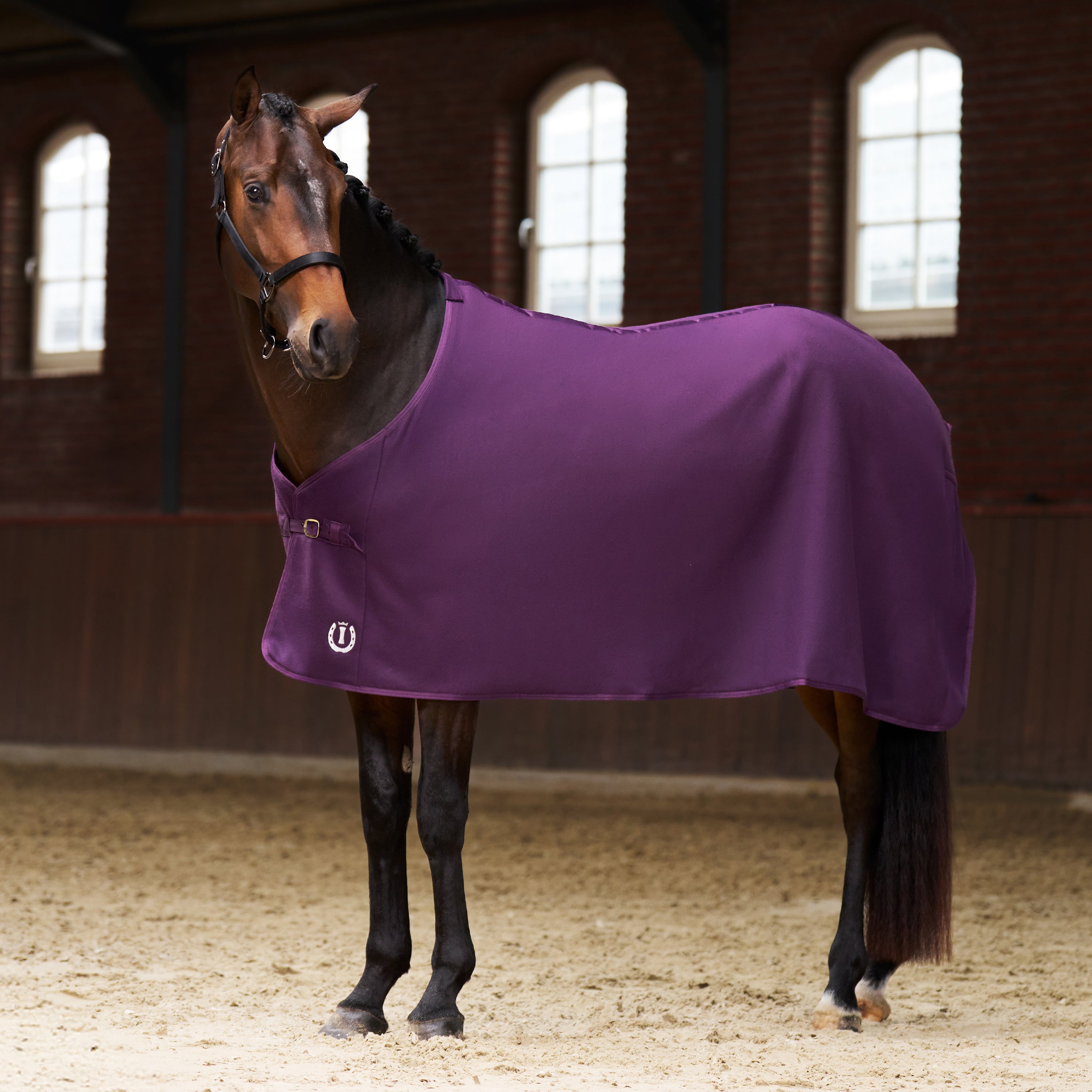 Fleece blanket IRHFundamental Basic