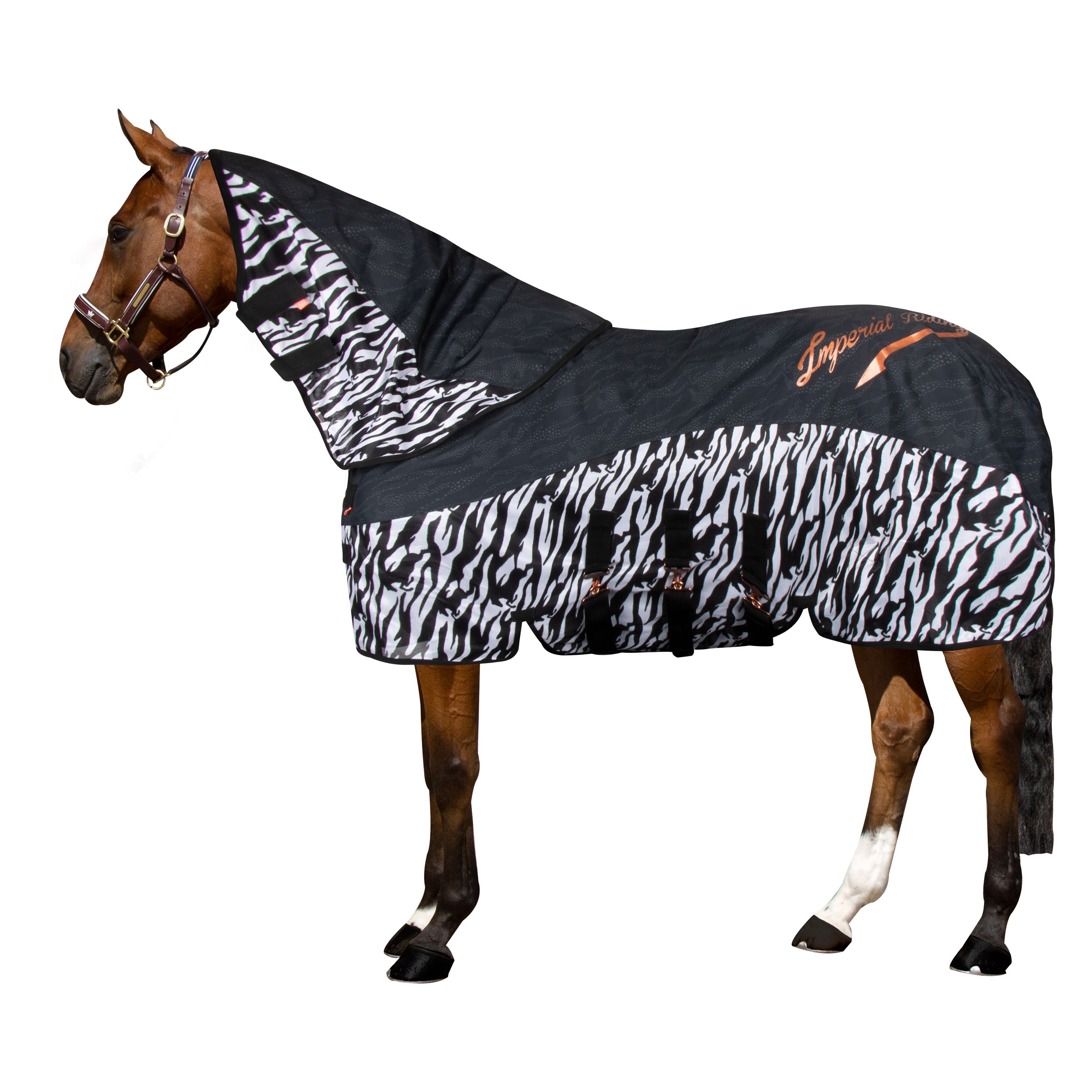 Neck rain & fly Blanket IRHSuper-dry Carly