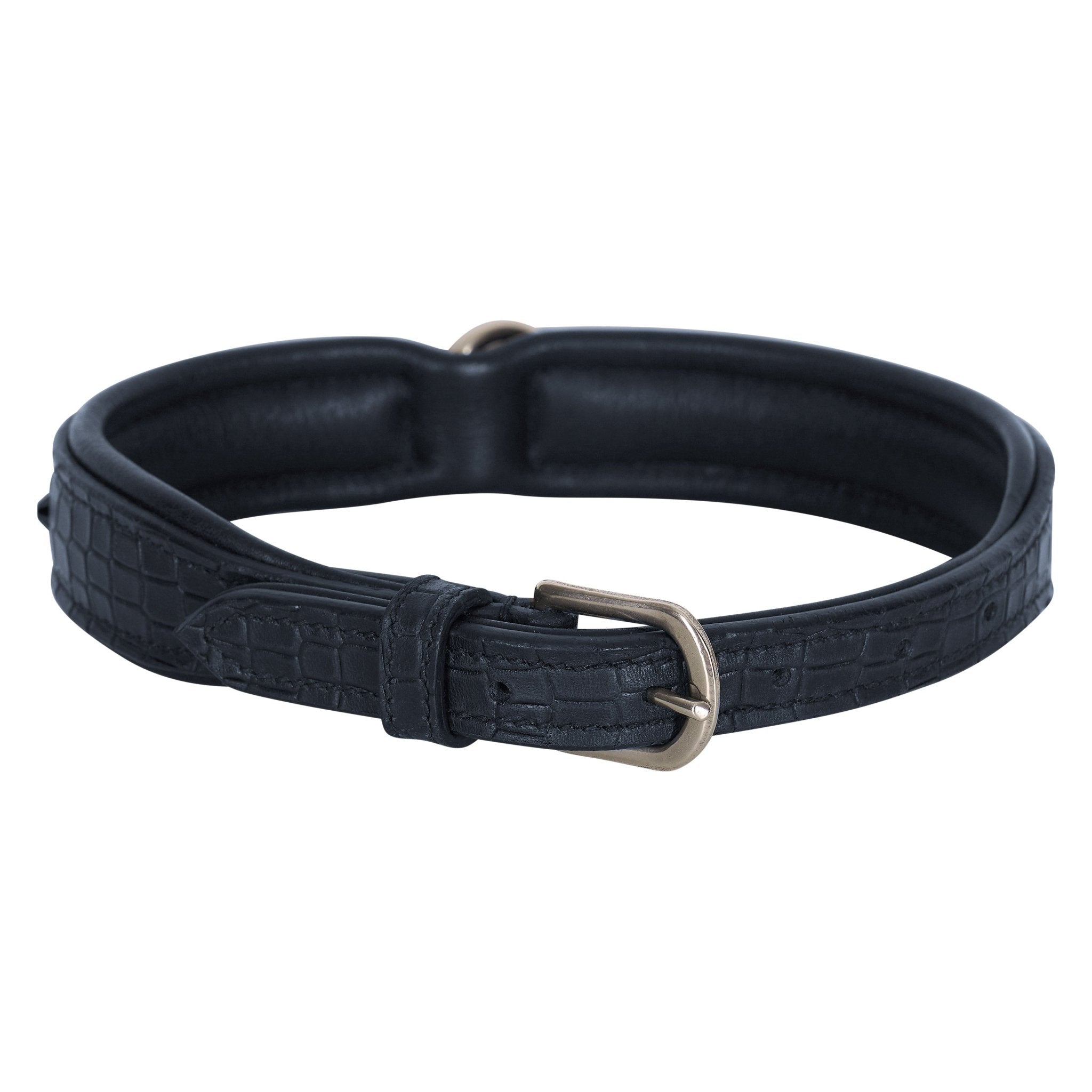 Dog collar IRHFlorida - Shetlandslycka - Always equine