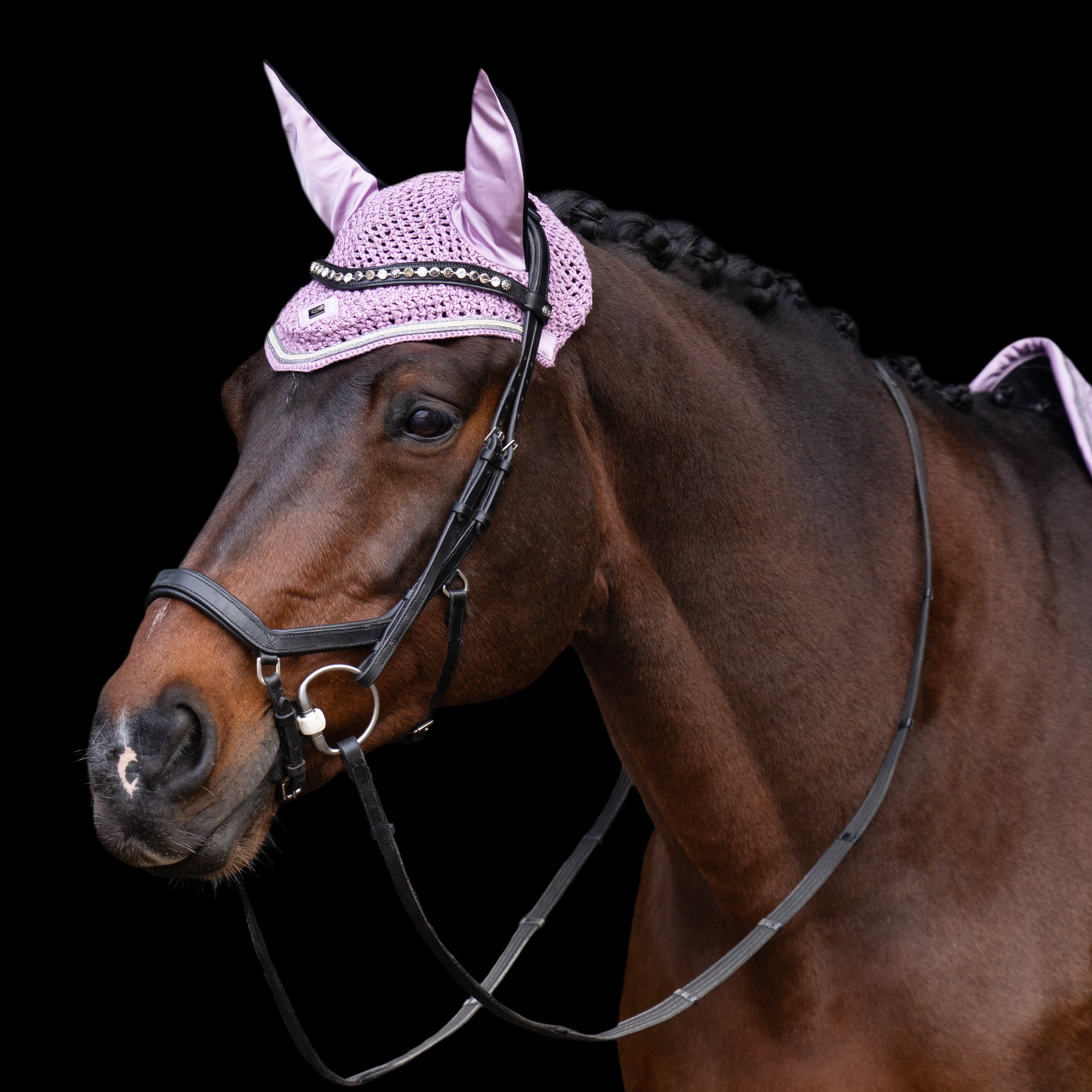 Flyveil IRHLenny
