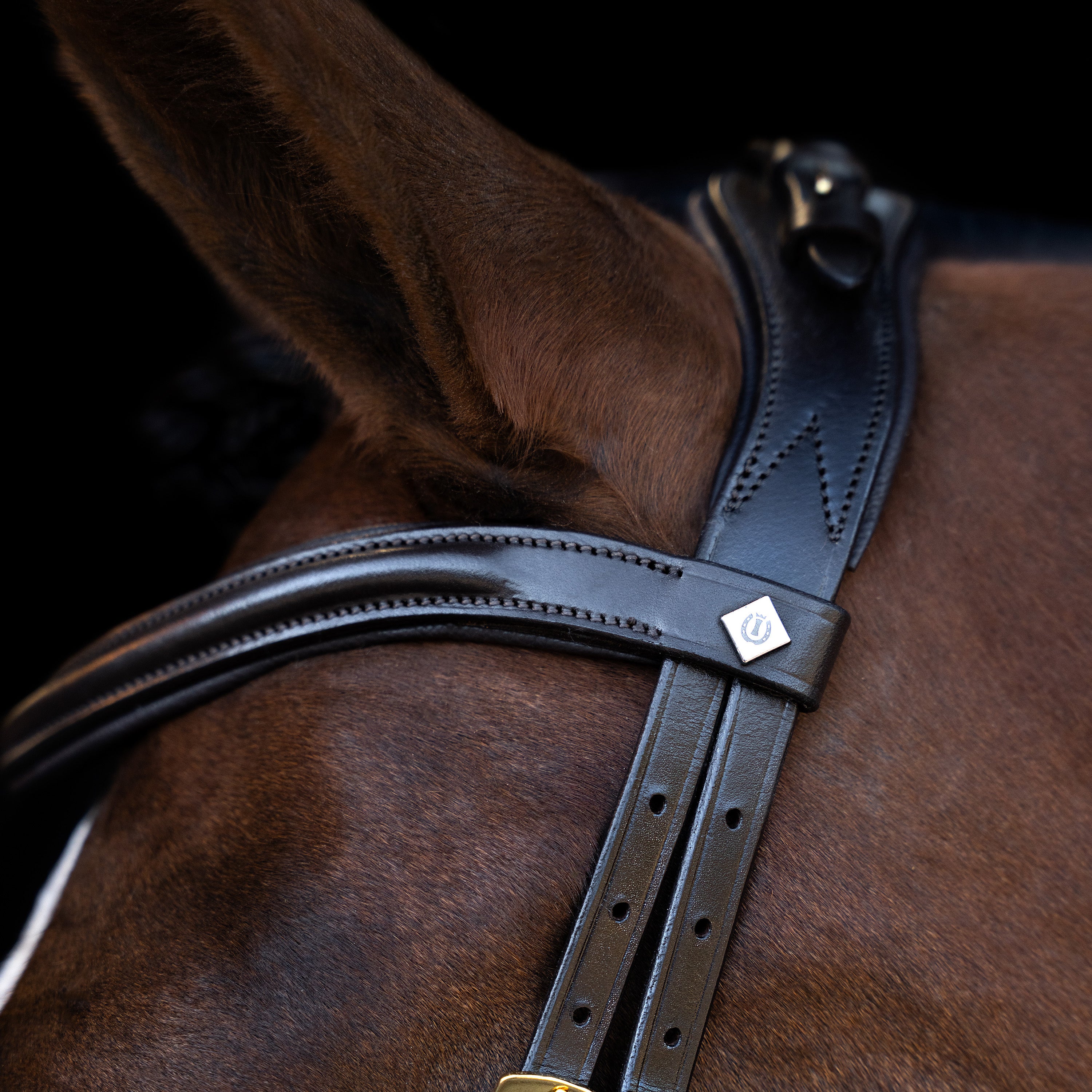 Bridle IRH with ergonomic drop noseband/flash