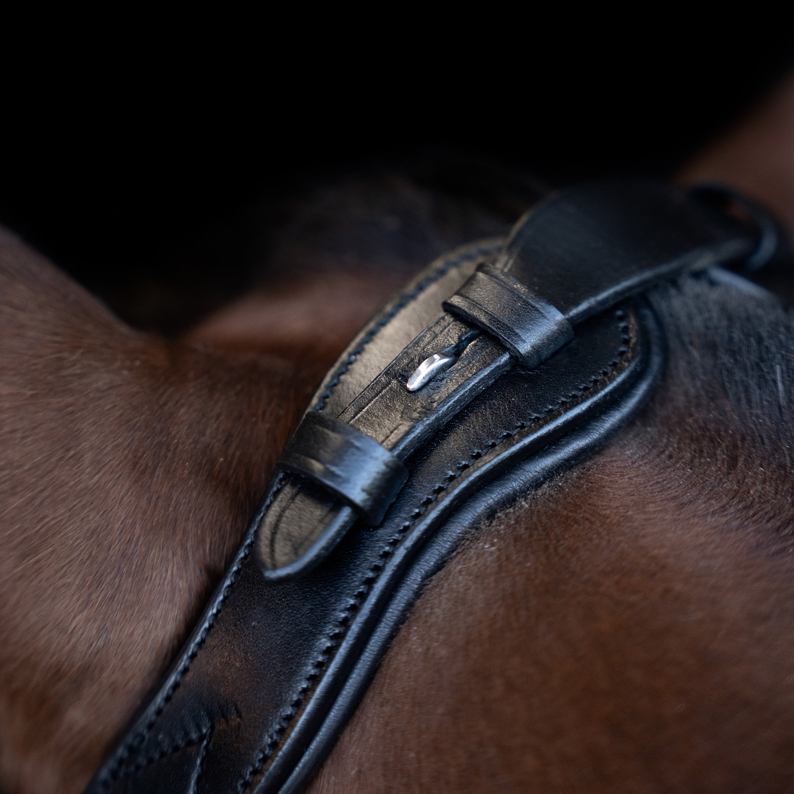 Bridle IRH with ergonomic drop noseband/flash