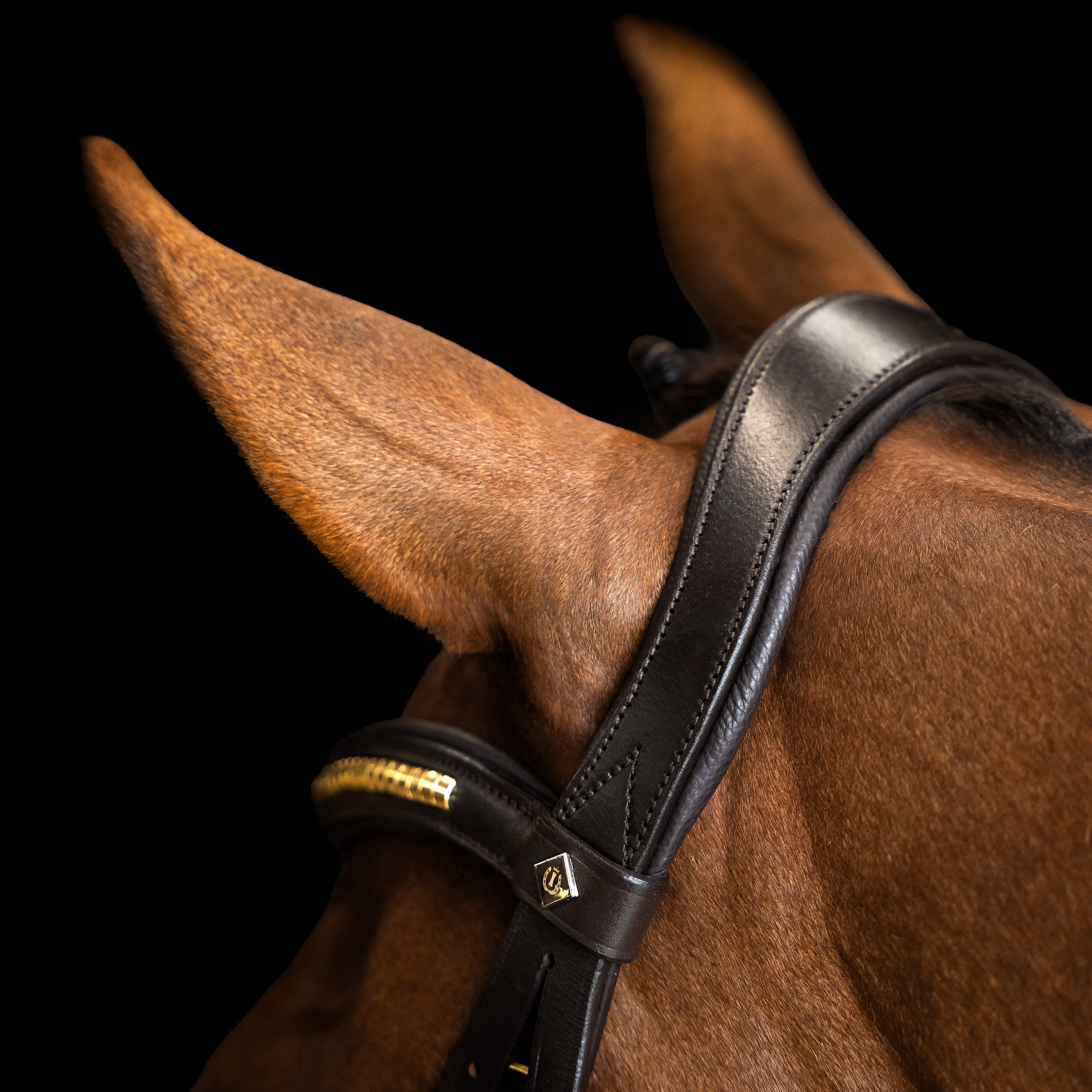 Bridle Mexican IRH