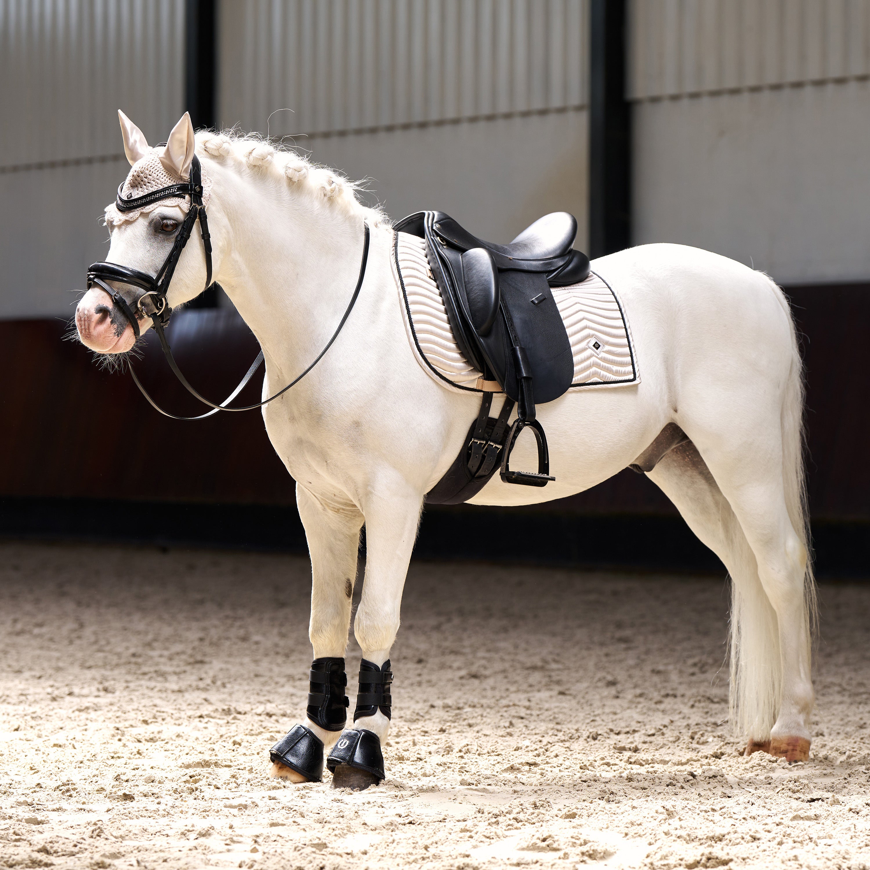 Saddlepad IRHRebel DR