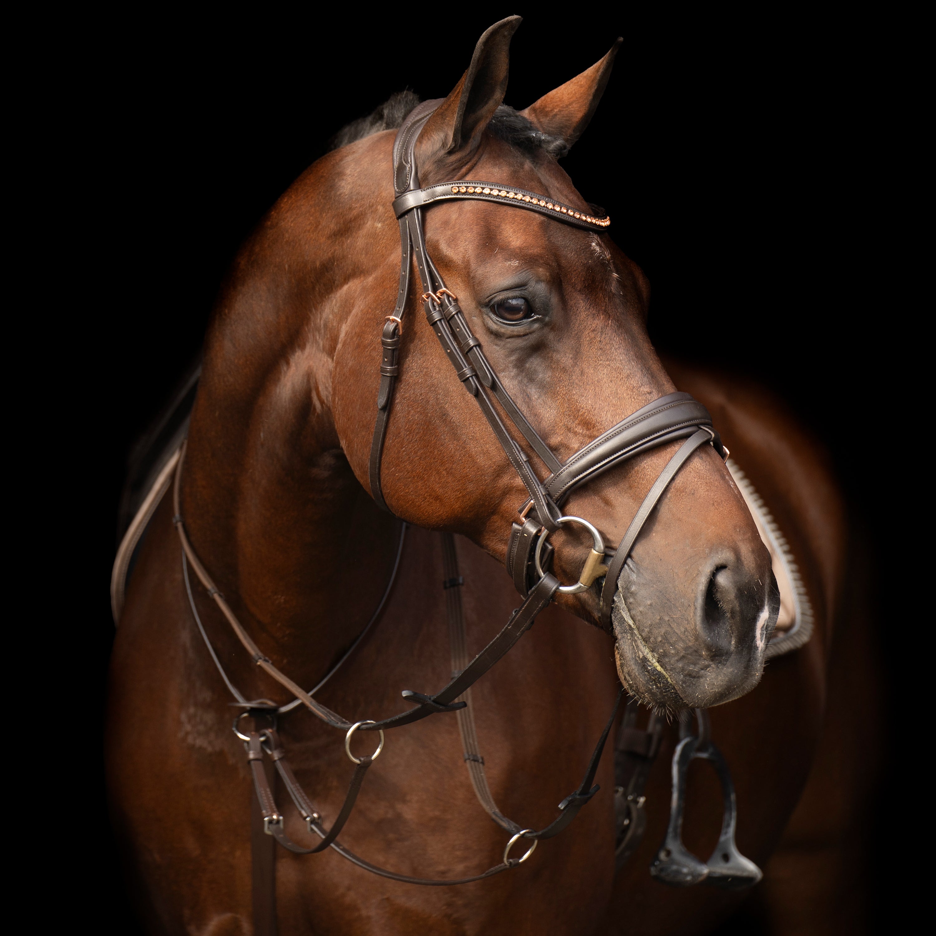 Martingale IRHCore