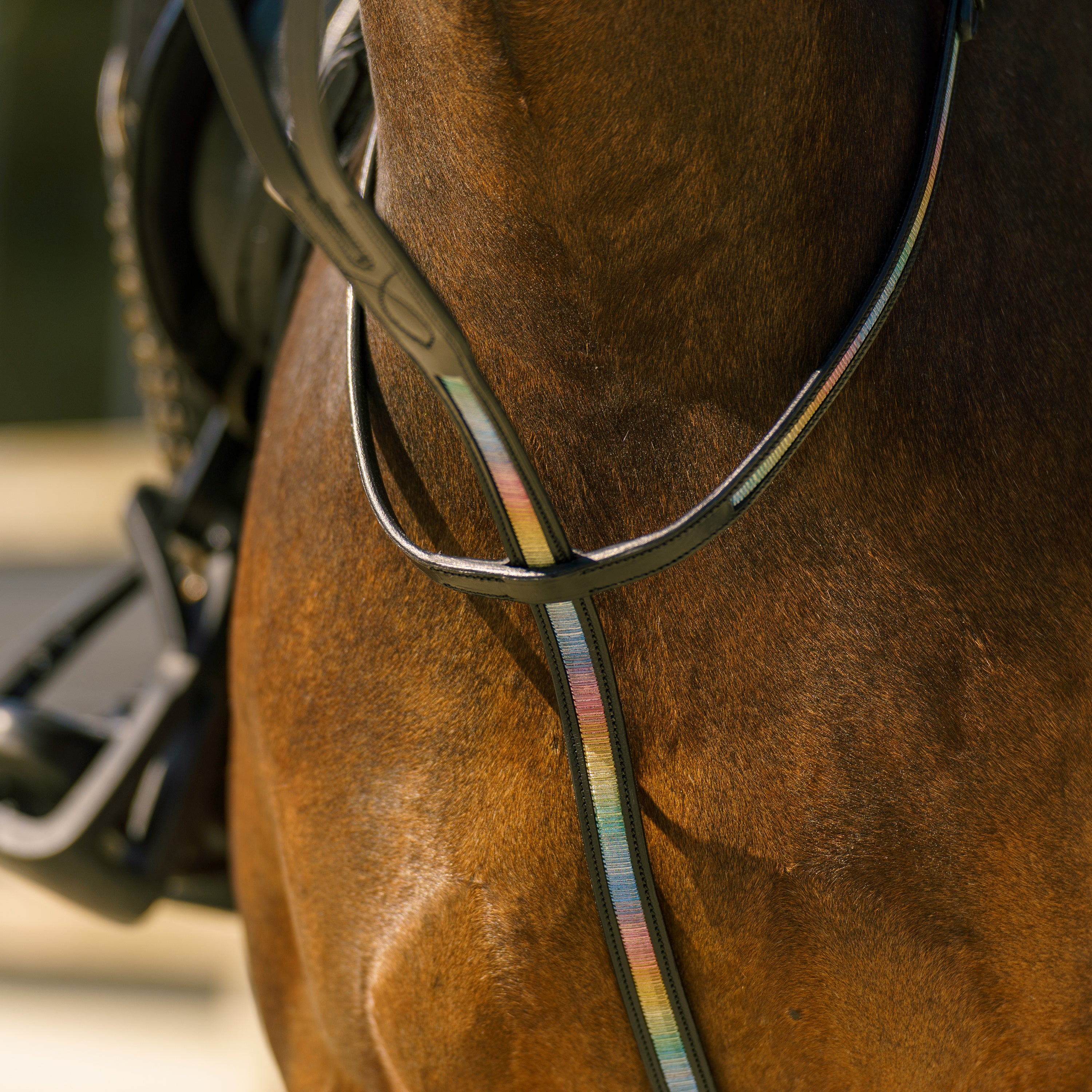 Martingale IRHRainbow