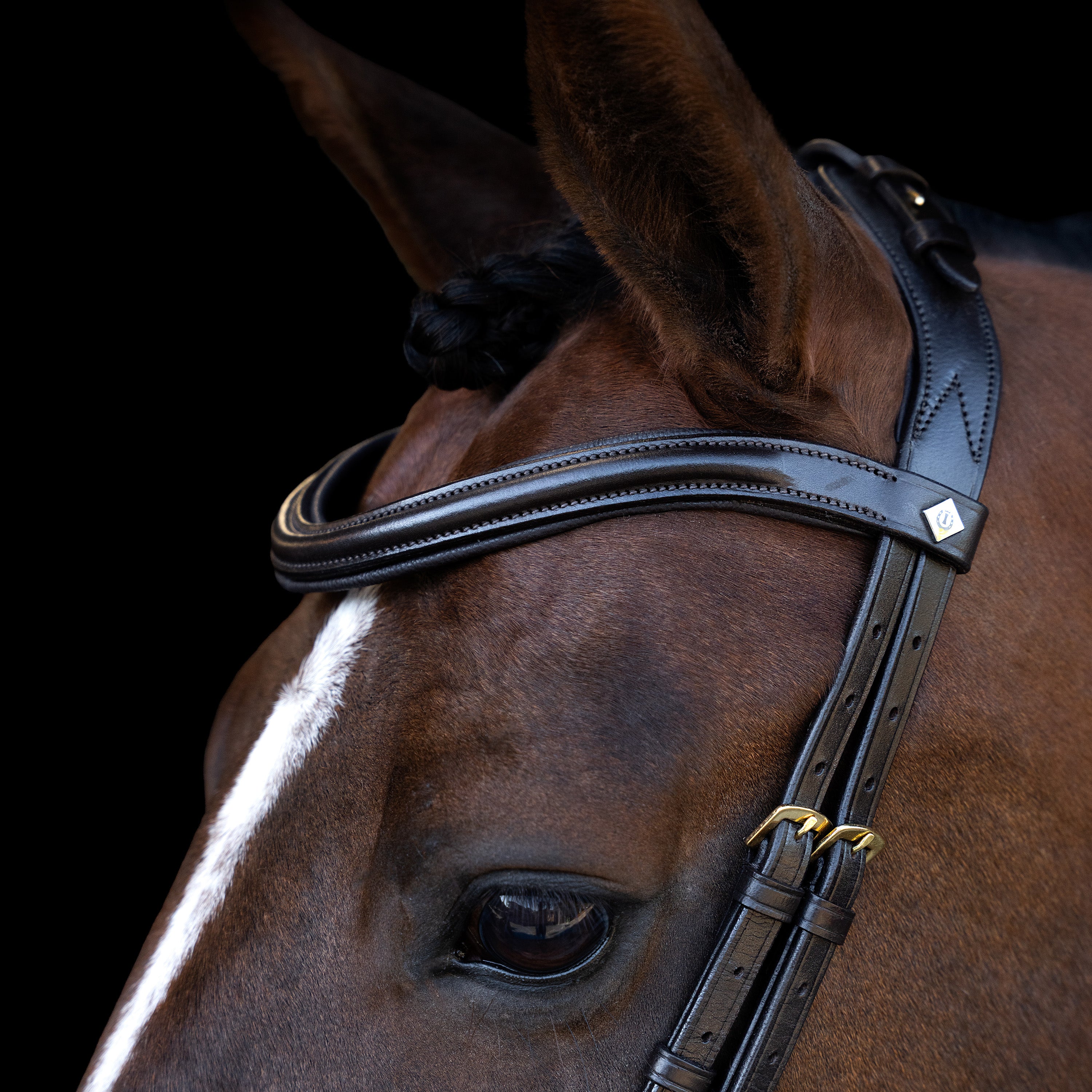 Bridle IRH with ergonomic drop noseband/flash