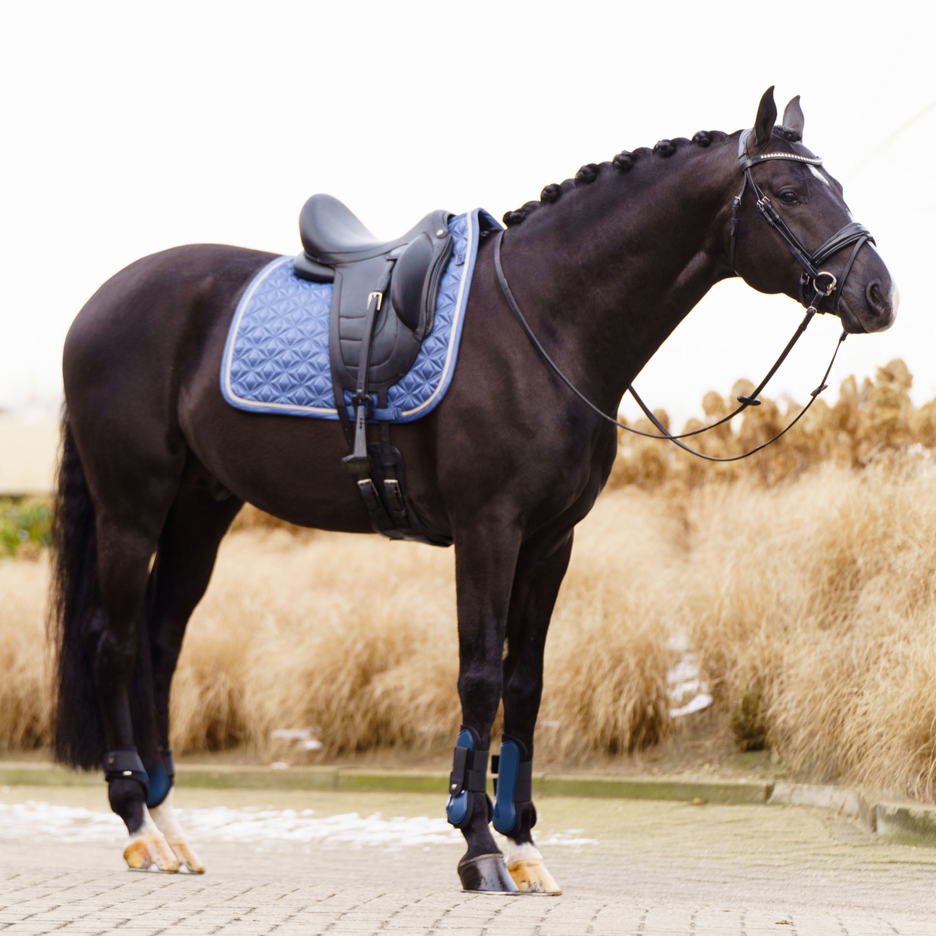 Saddlepad IRHLenny DR