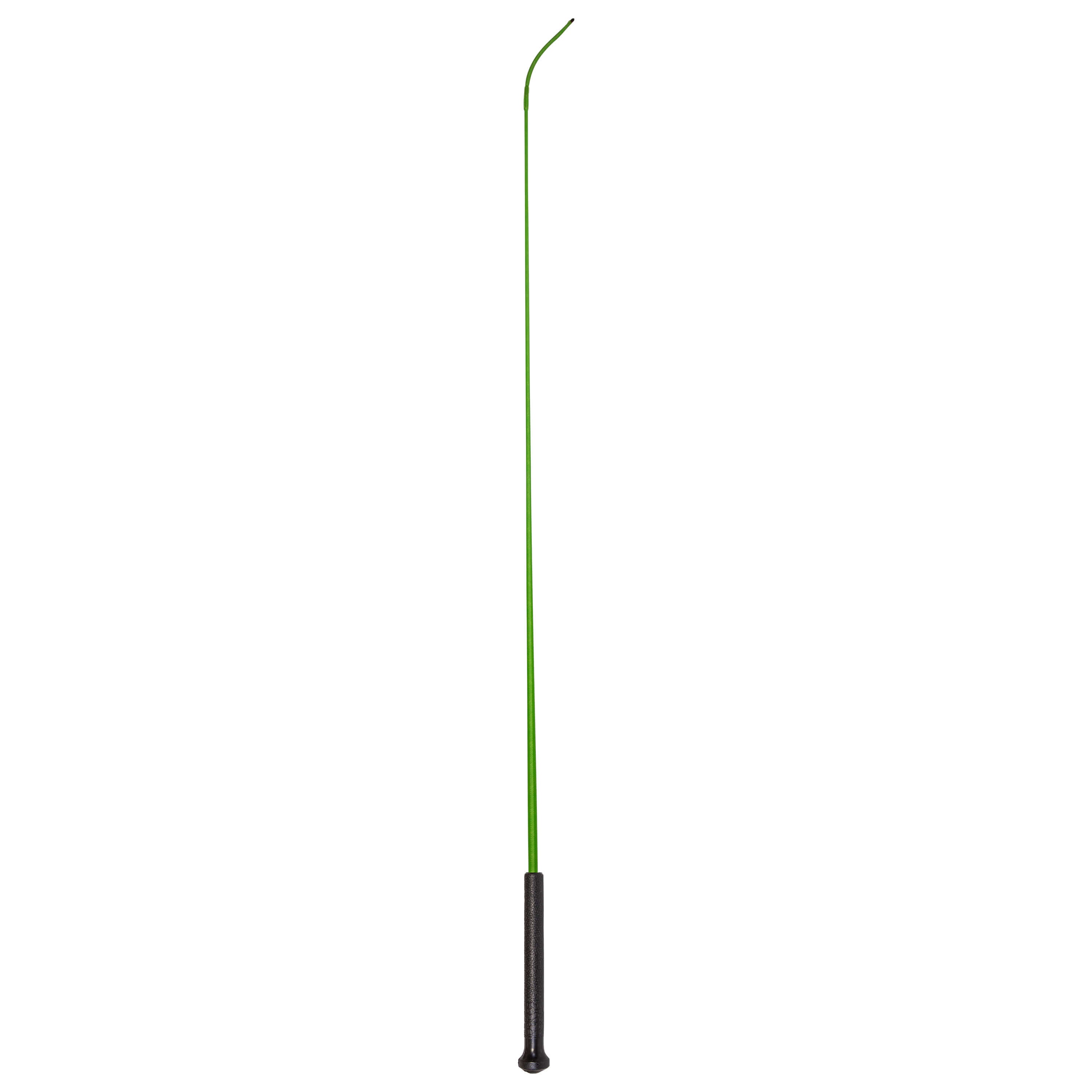 Riding whip IRHEconomic