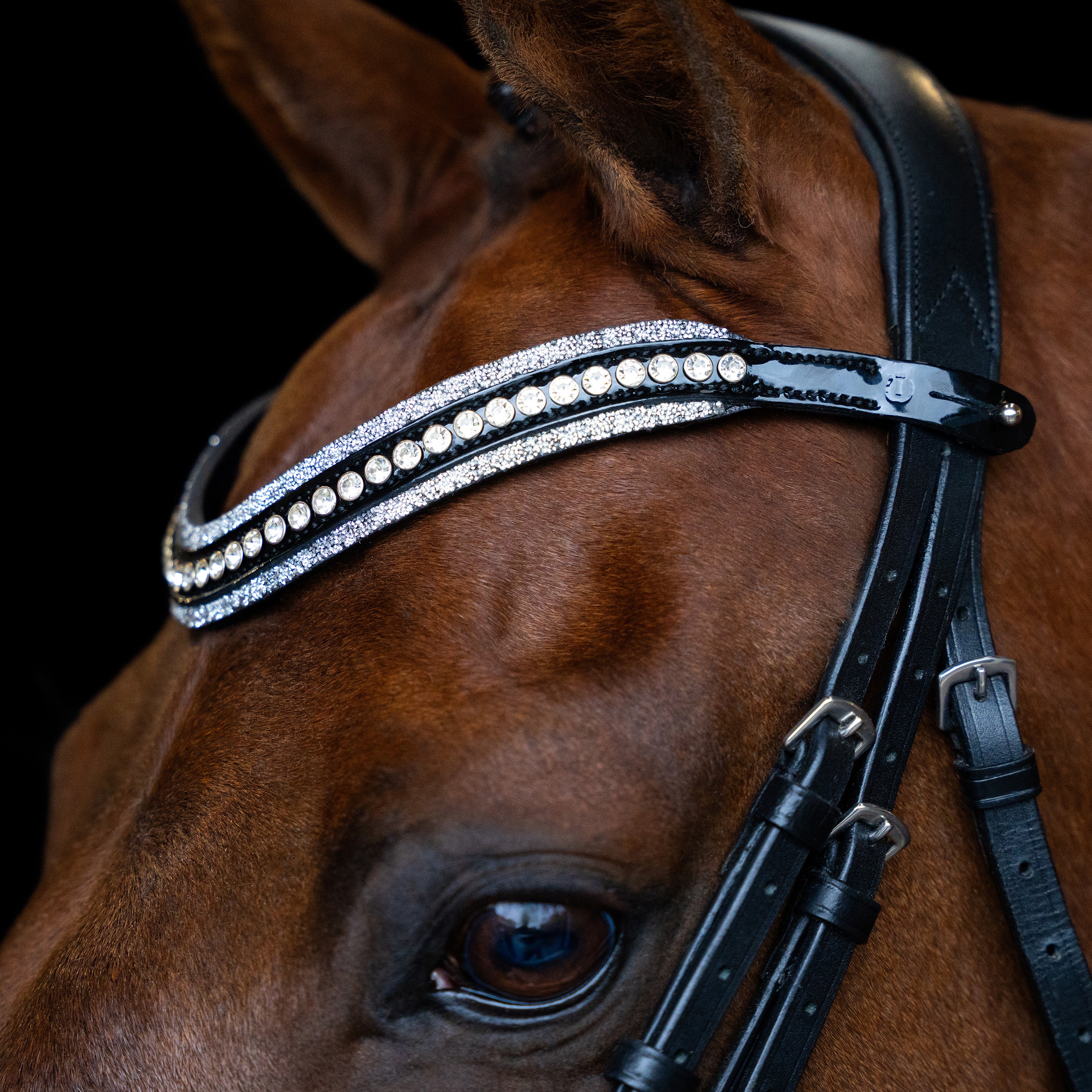 Browband IRHMaxima