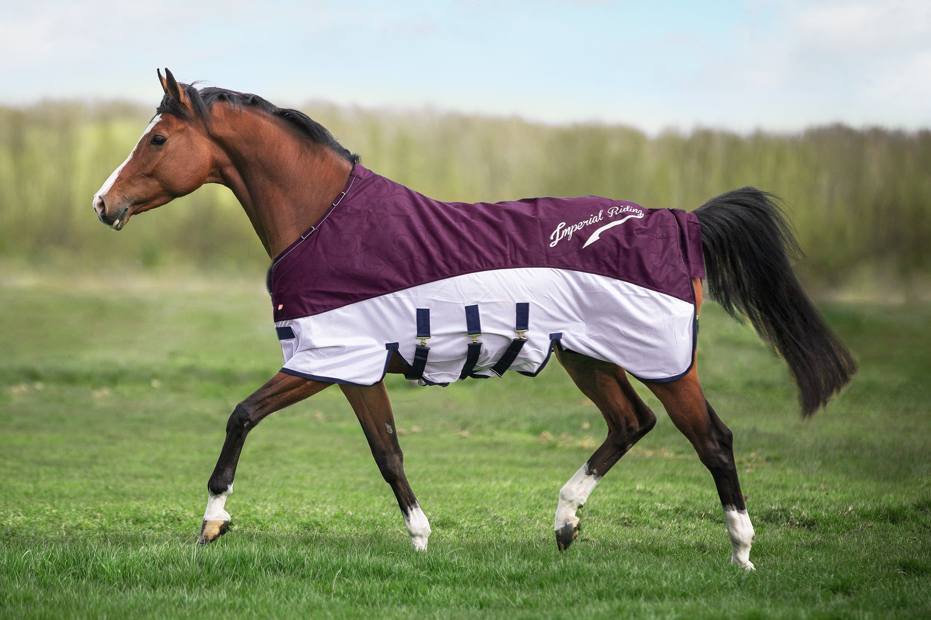 Rain & Fly blanket IRHSuper-dry