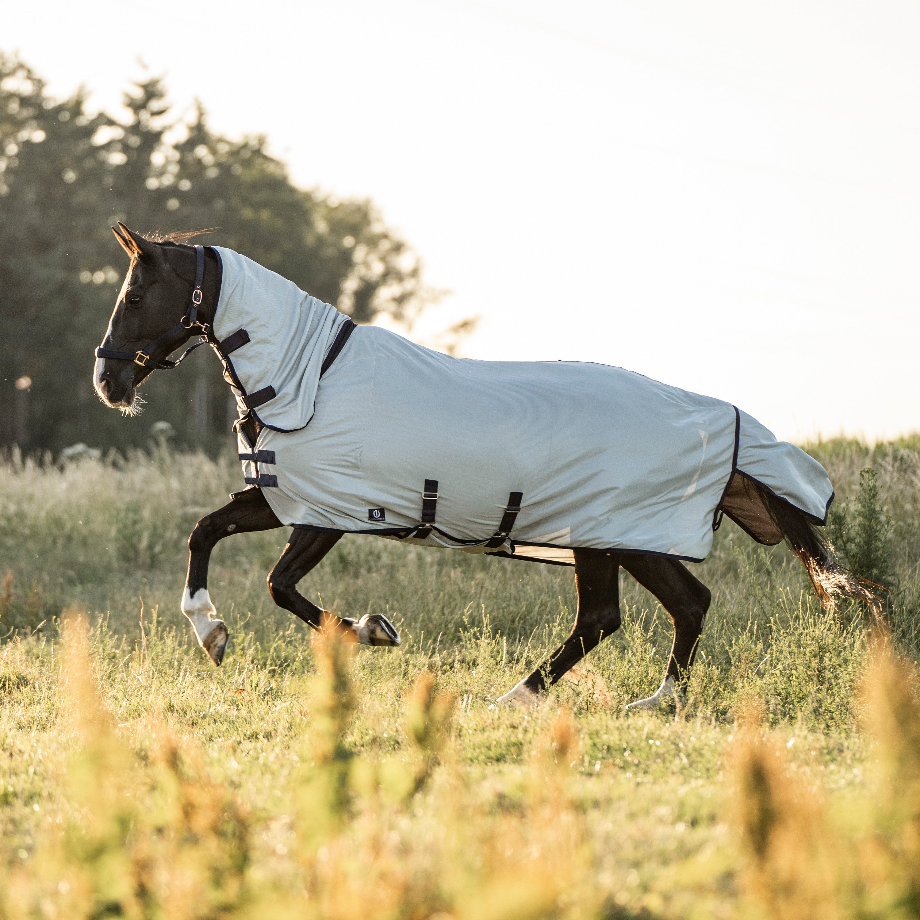 Fly blanket IRHReese