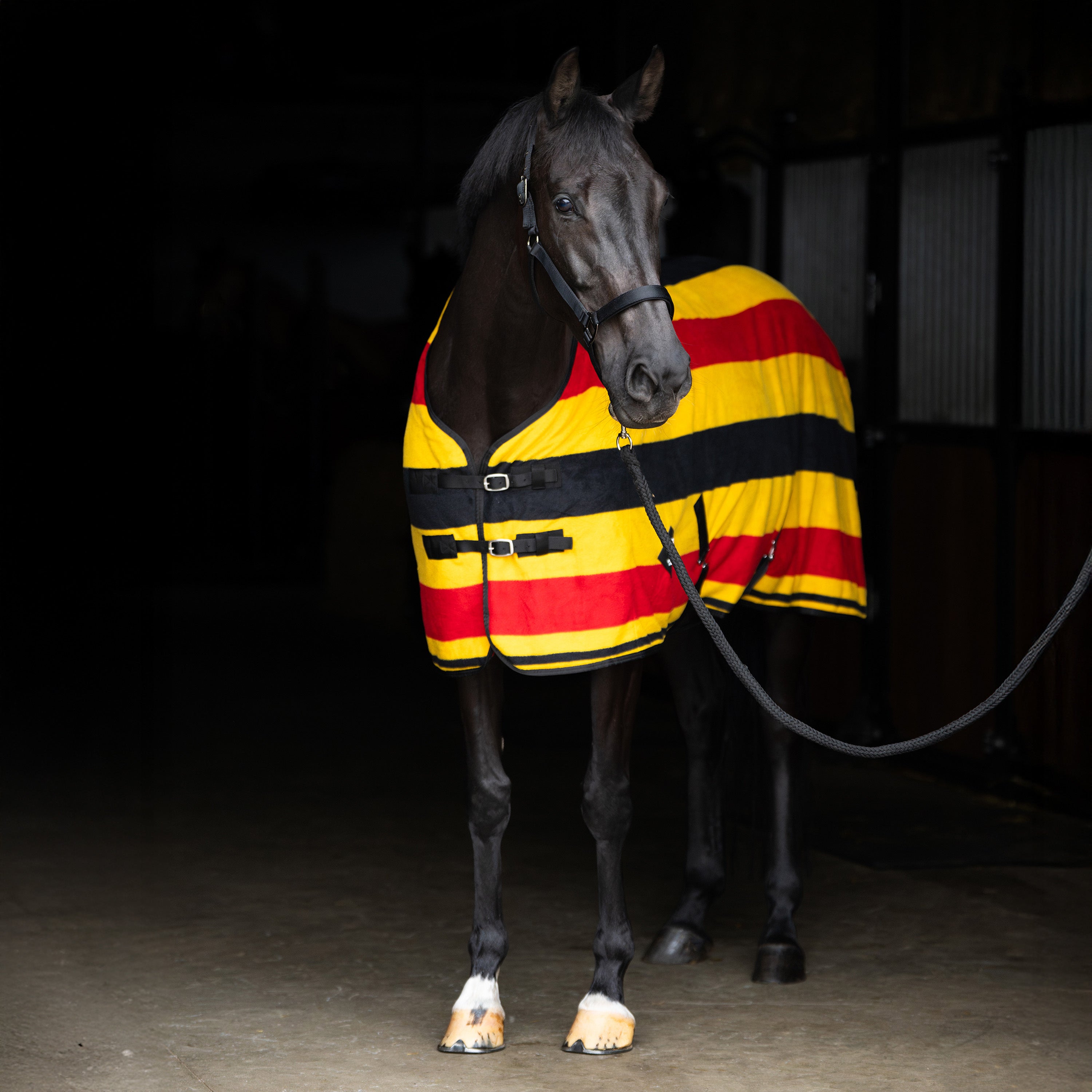Fleece blanket IRHStripe