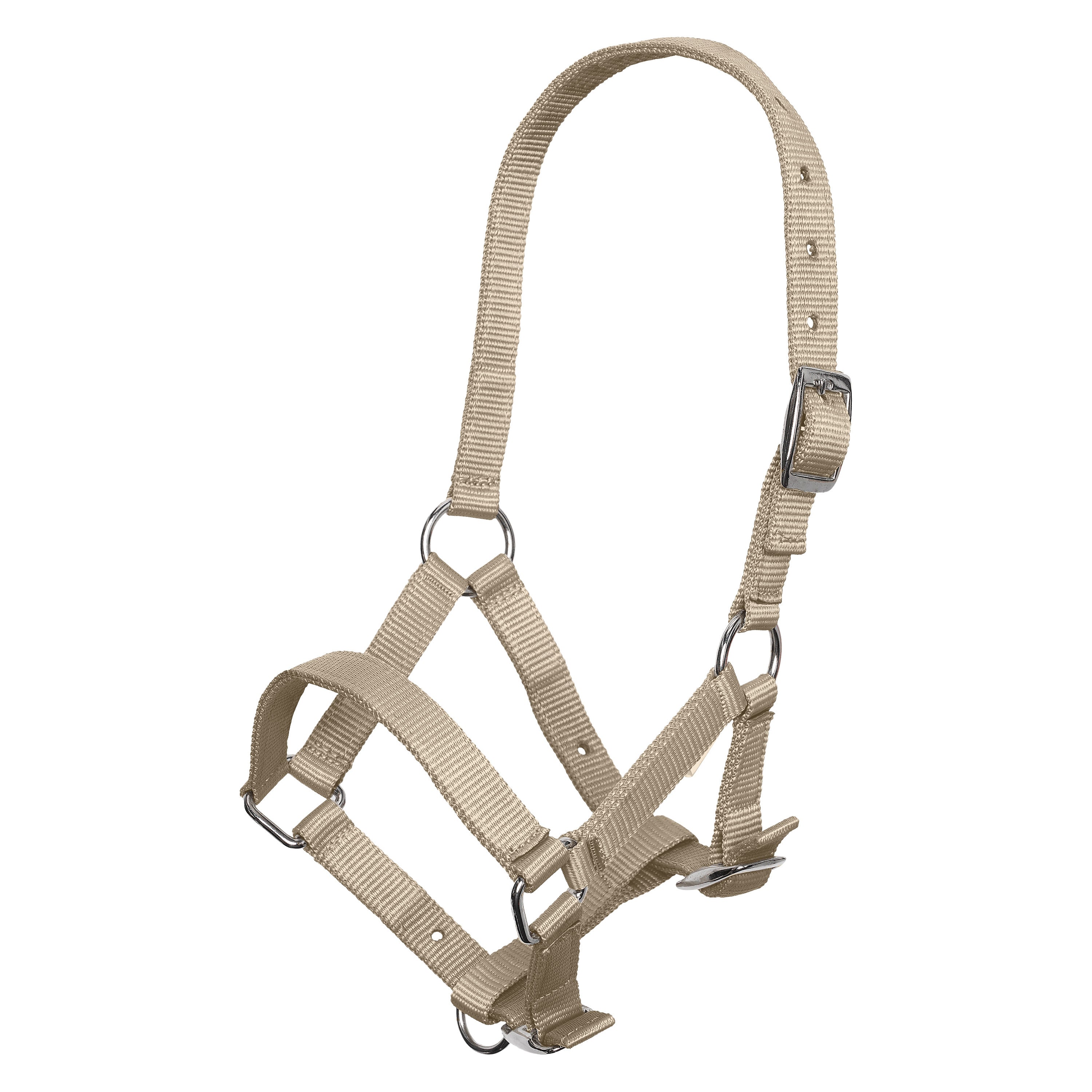 Headcollar foal IRH