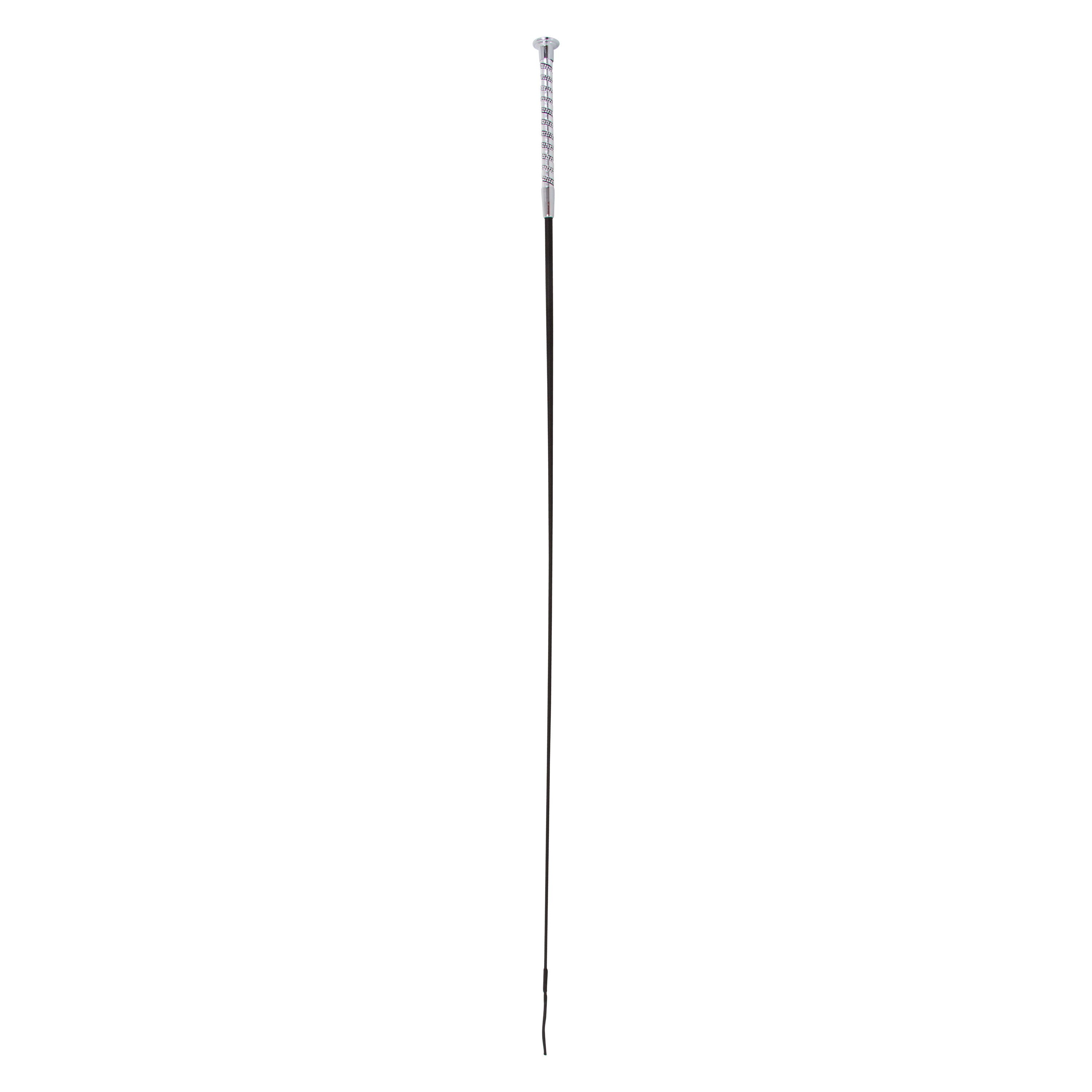 Riding whip IRHDiamonds