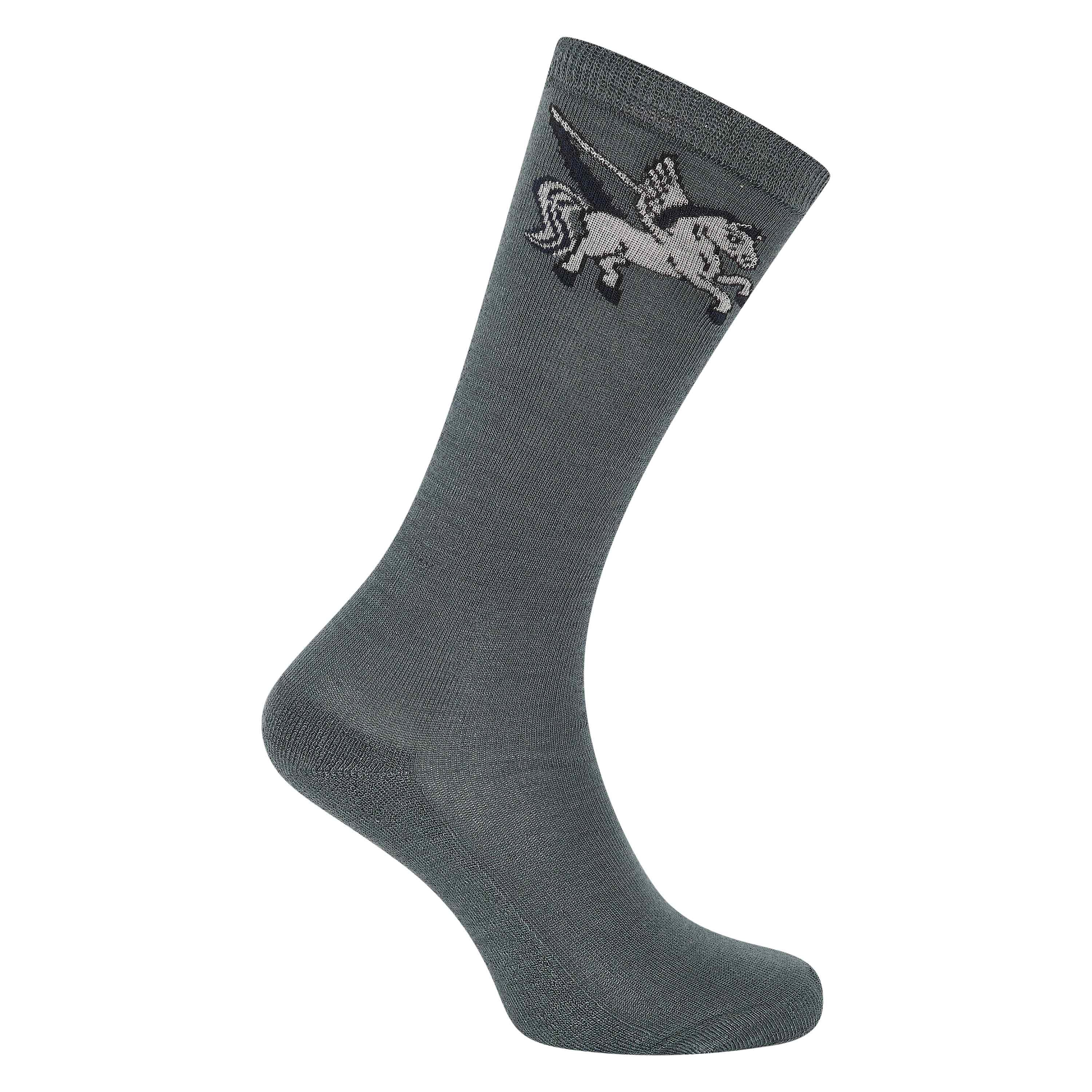 Socks IRHPegasus