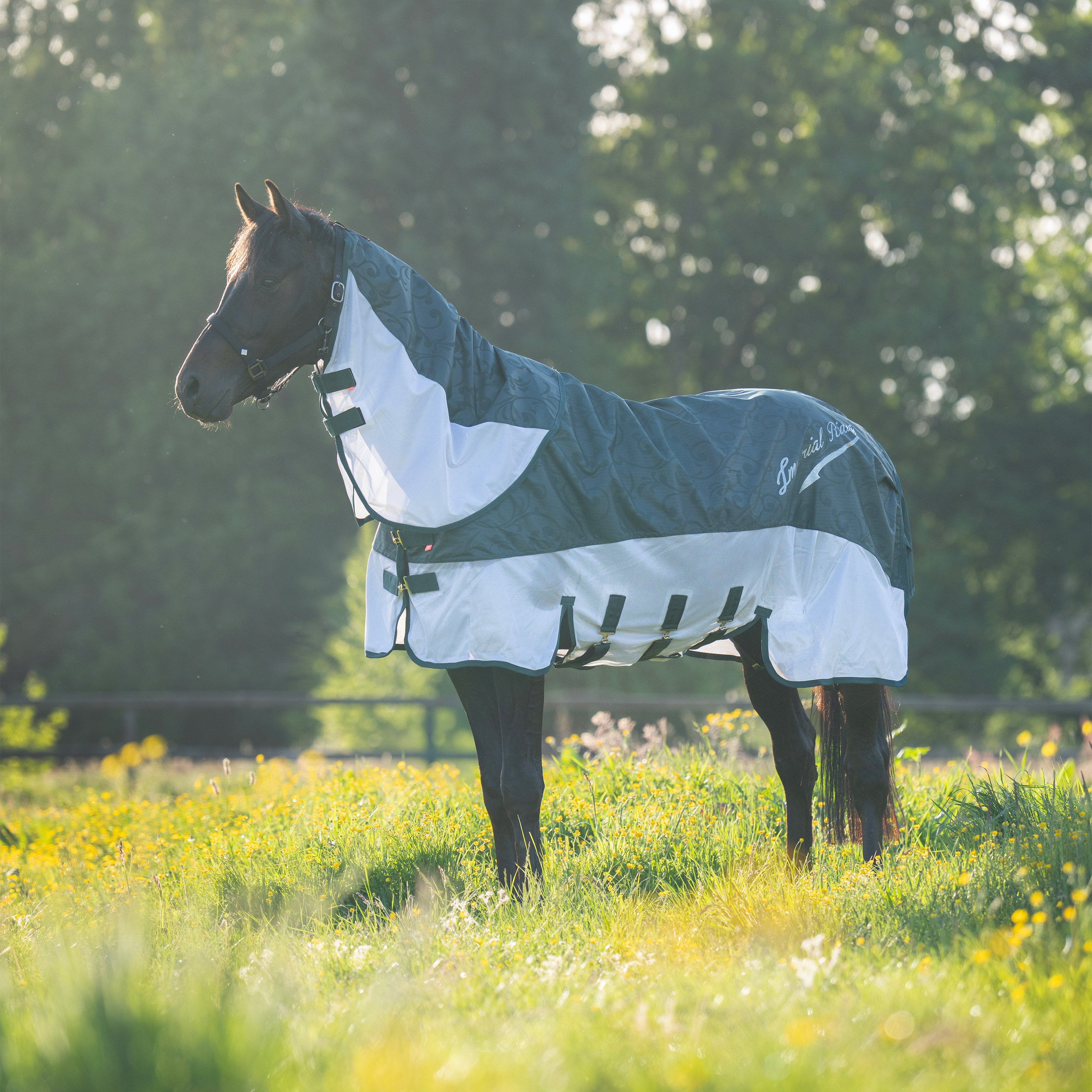 Rain & Fly blanket IRHSuper-dry