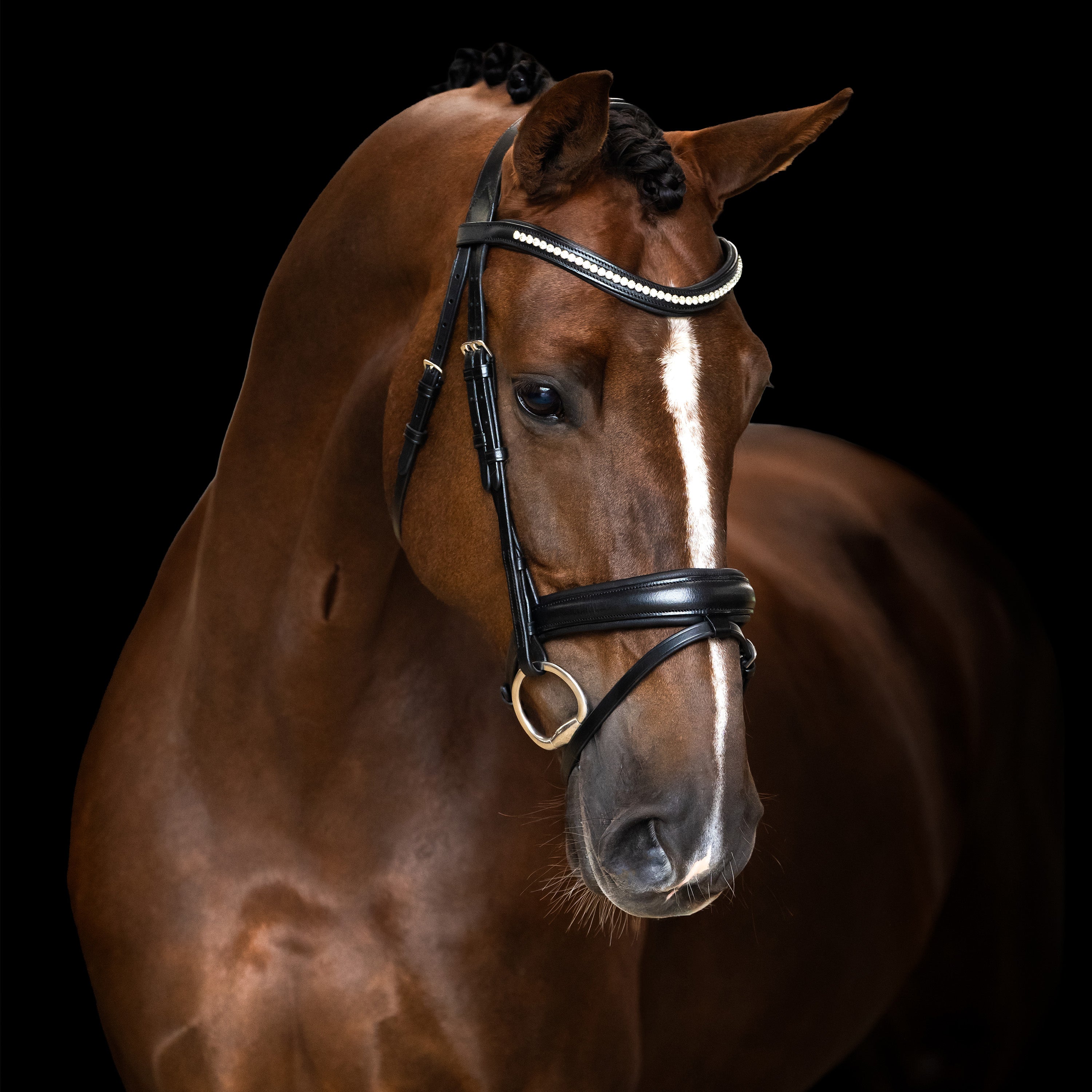 Bridle IRH combined noseband simple