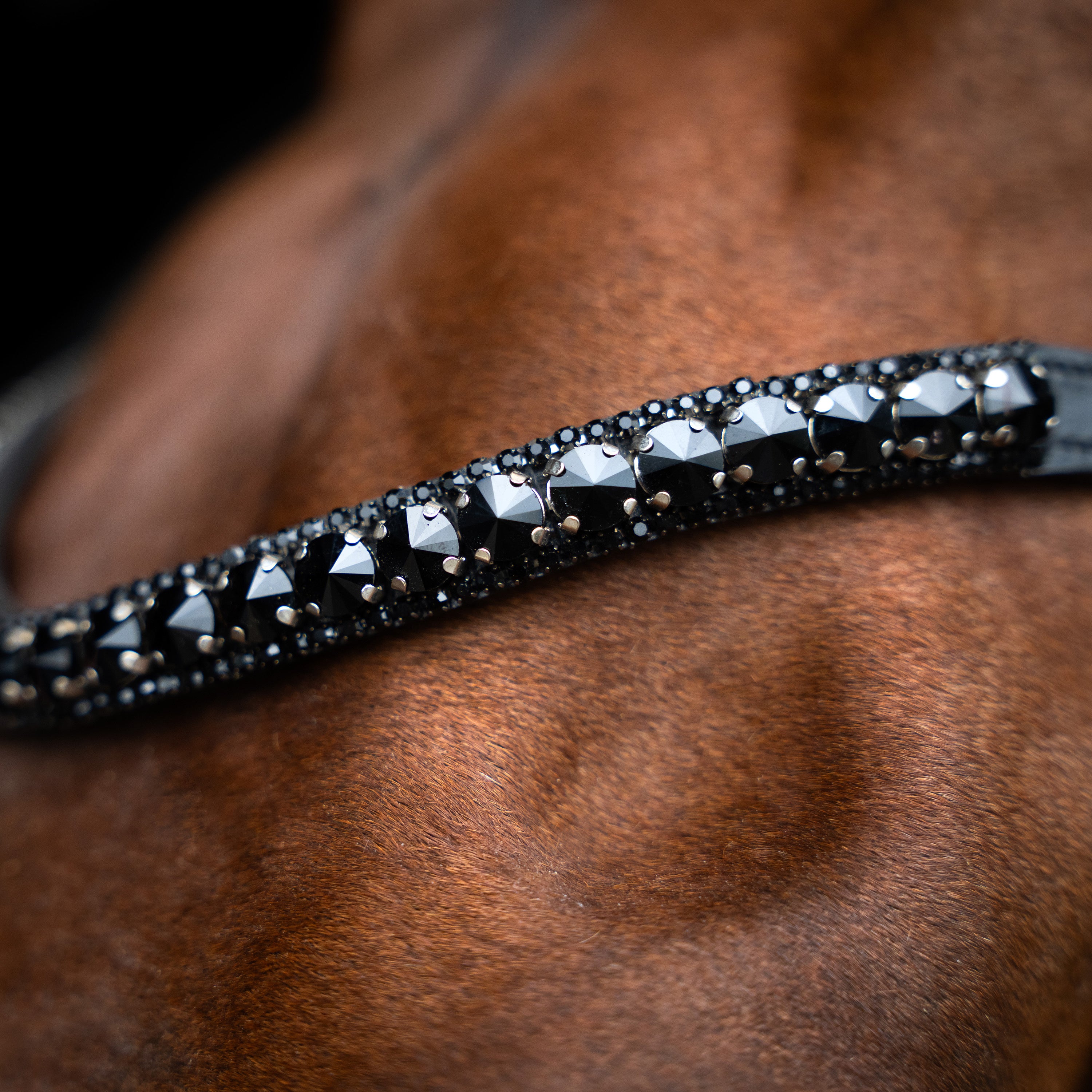 Browband IRHMaxima
