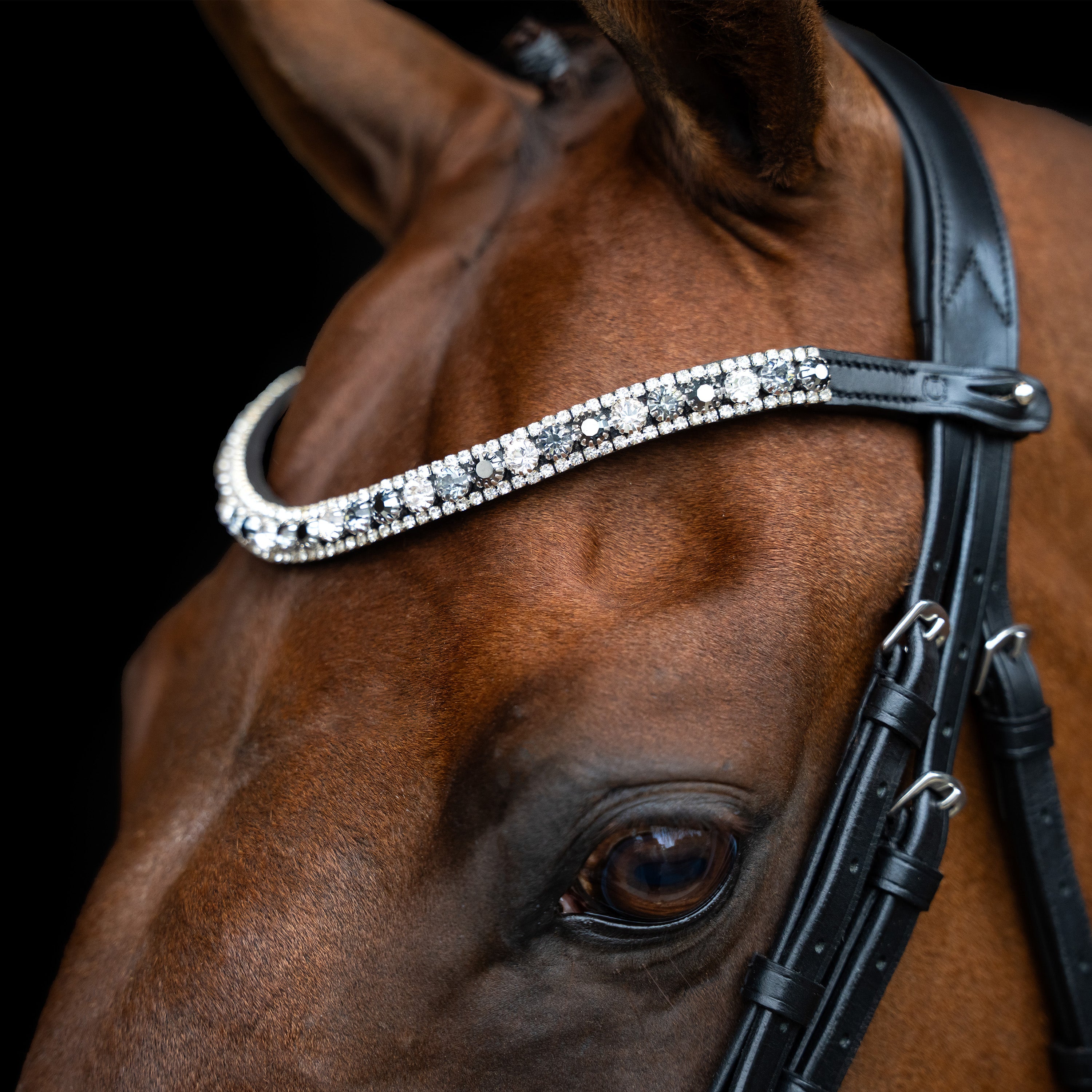 Browband IRHClincher